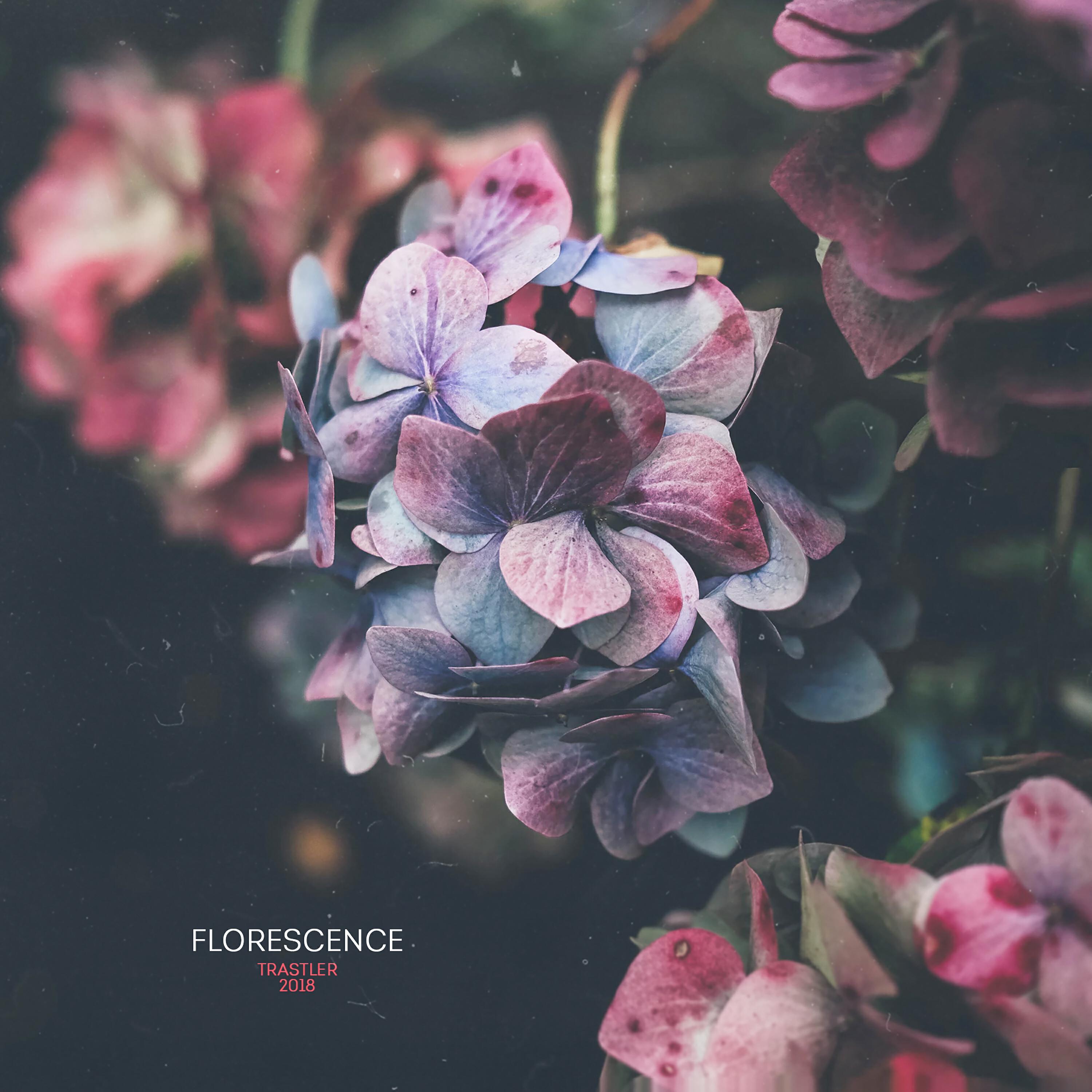 Релиз Florescence