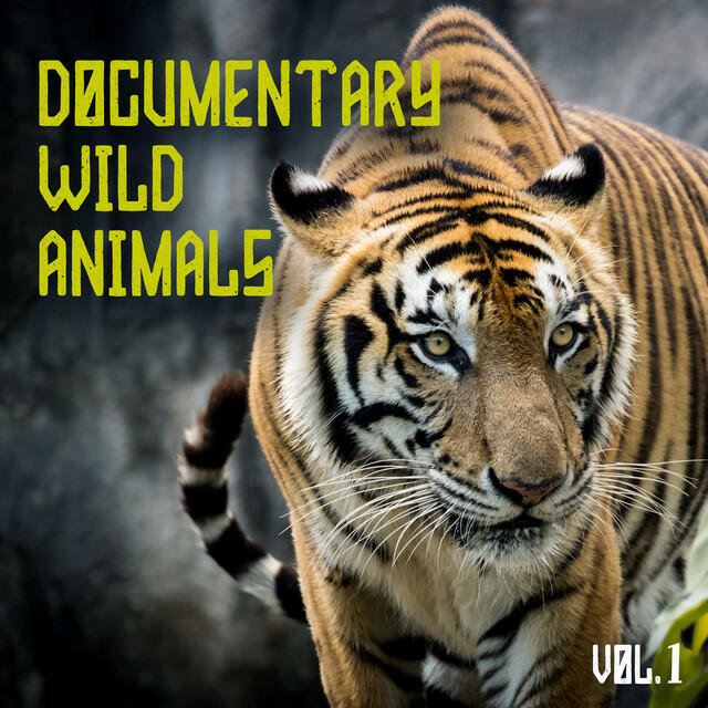 Релиз Documentary Wild Animals, Vol. 1