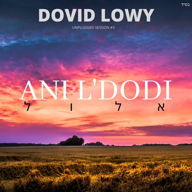 Релиз Ani L'dodi