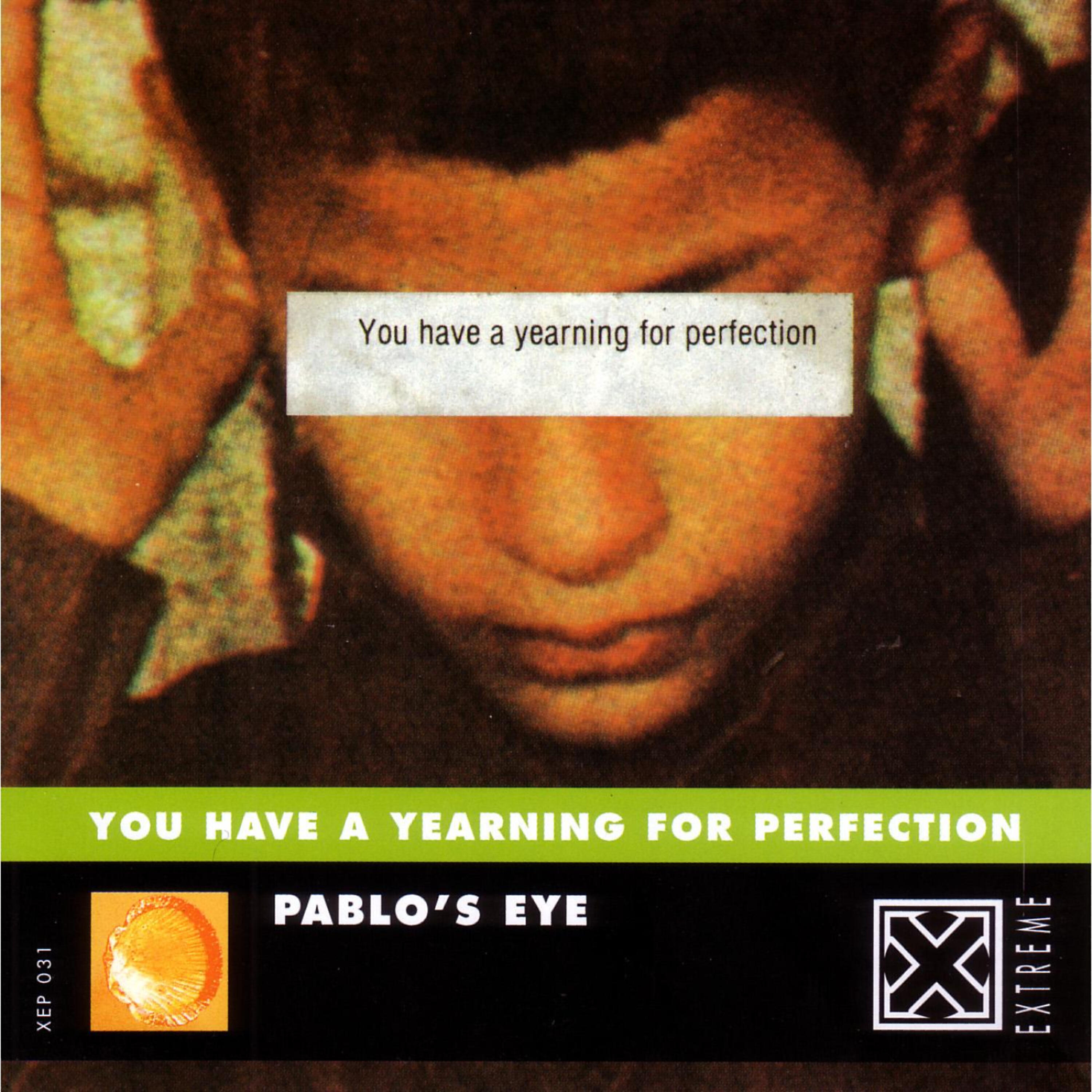 Релиз You Have A Yearning For Perfection