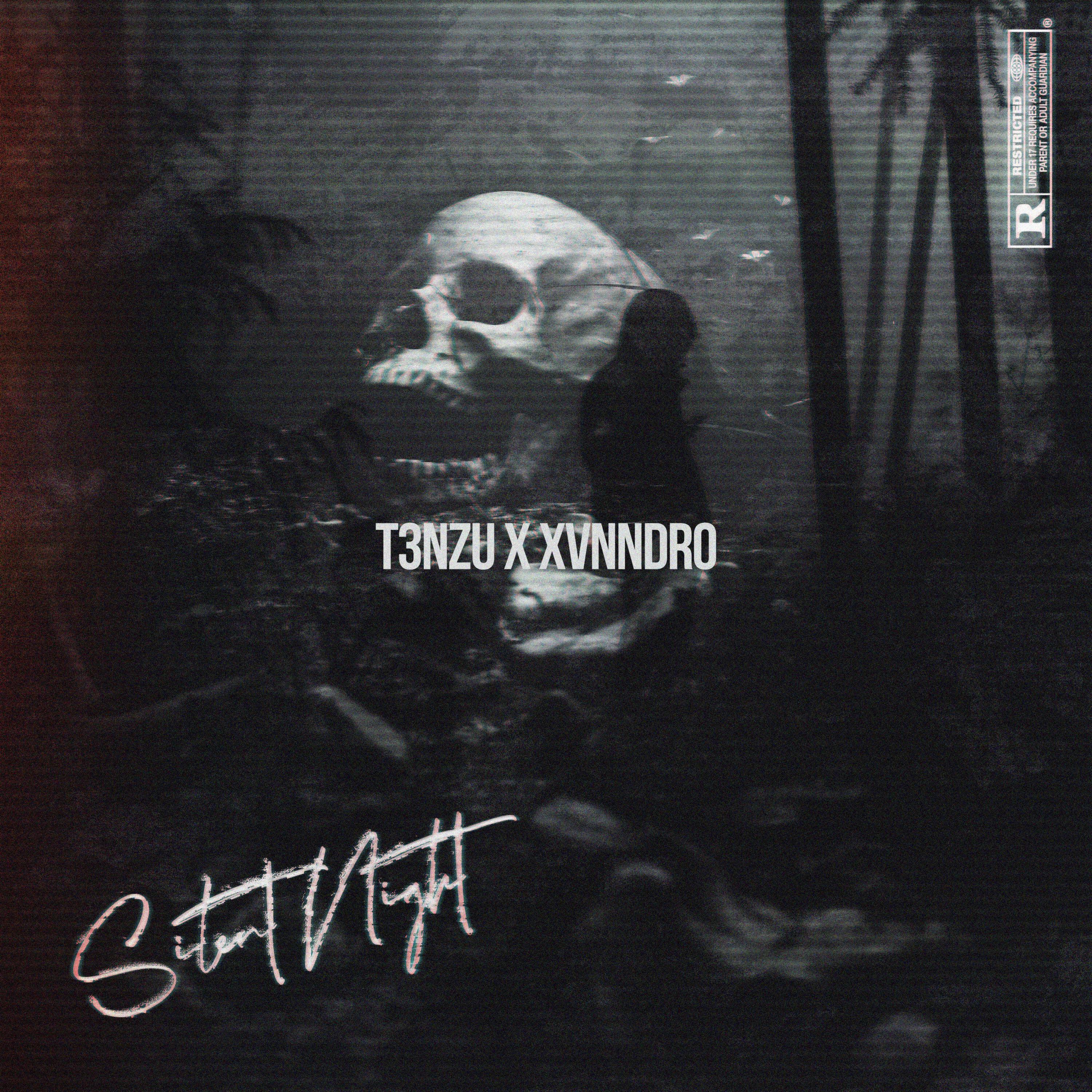Релиз Silent Night