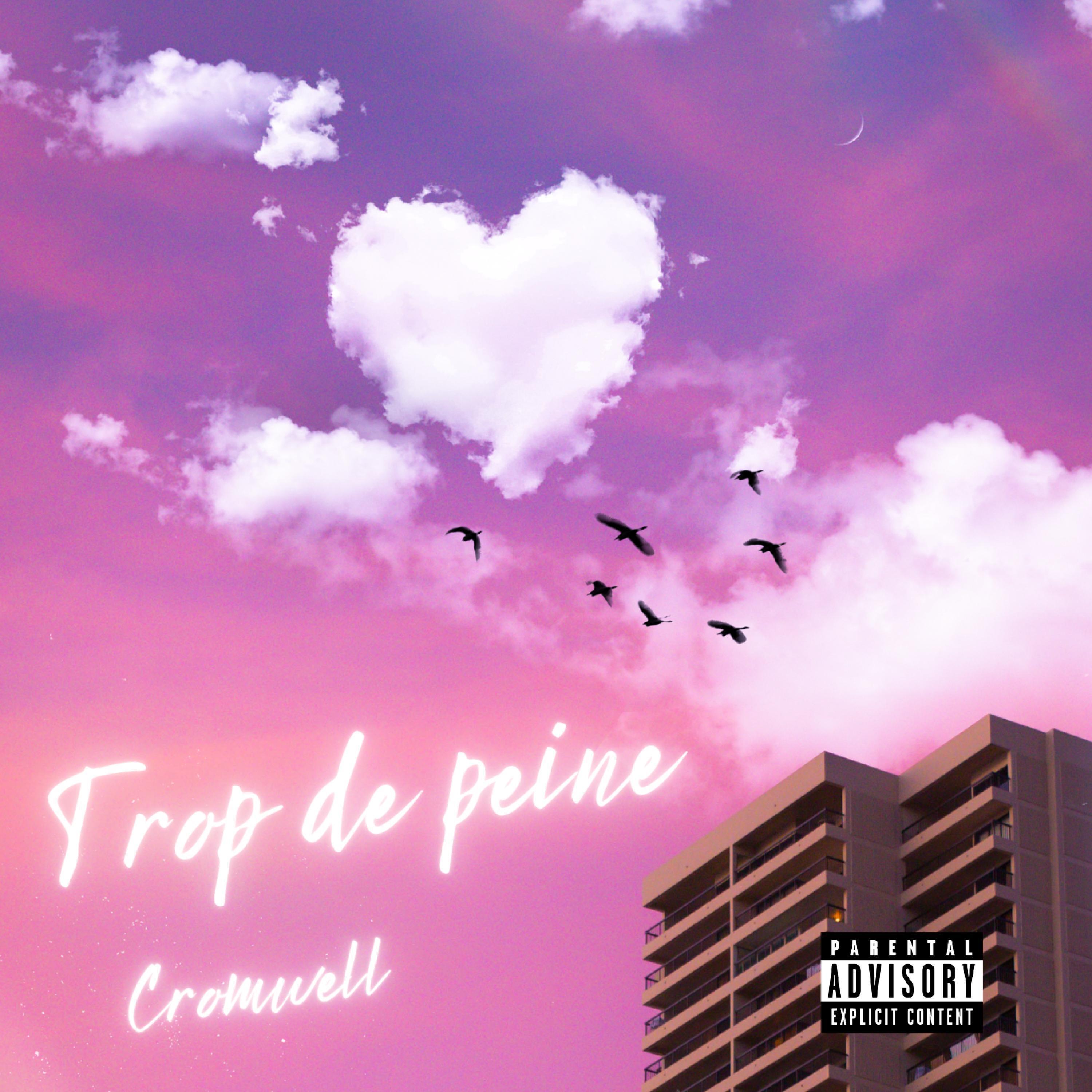 Постер альбома Trop de peine
