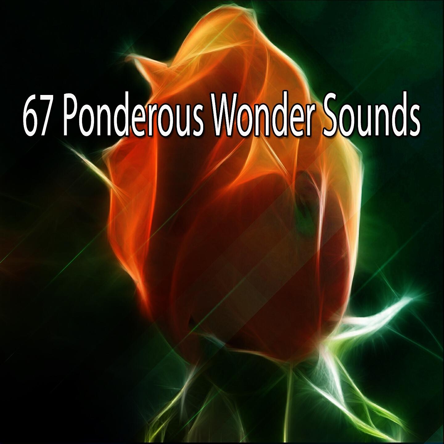 Релиз 67 Ponderous Wonder Sounds