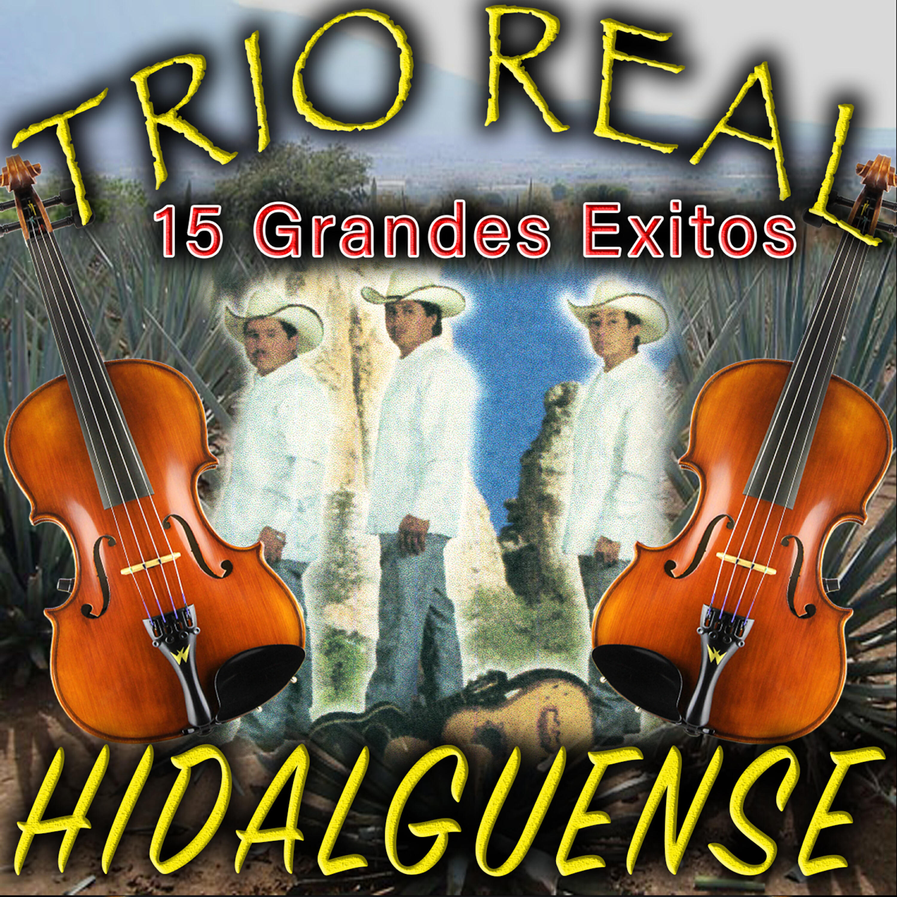 Релиз 15 Grandes Exitos