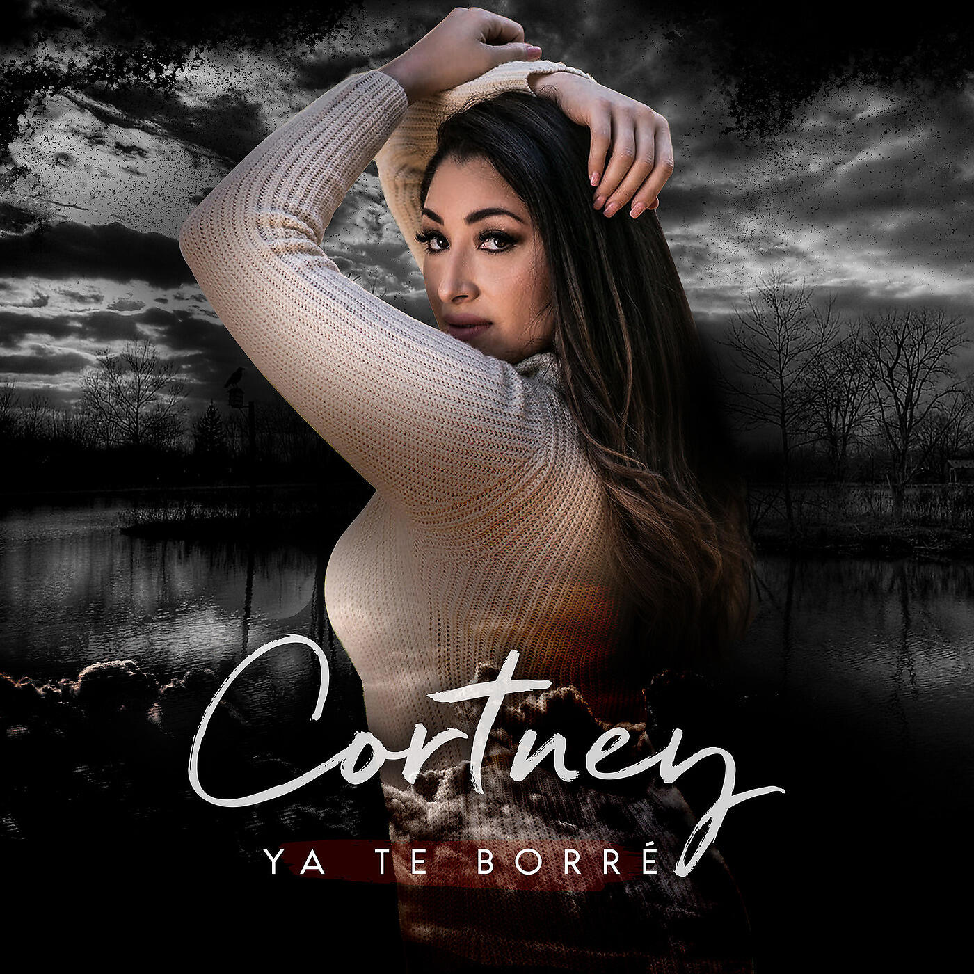 Релиз Ya Te Borre