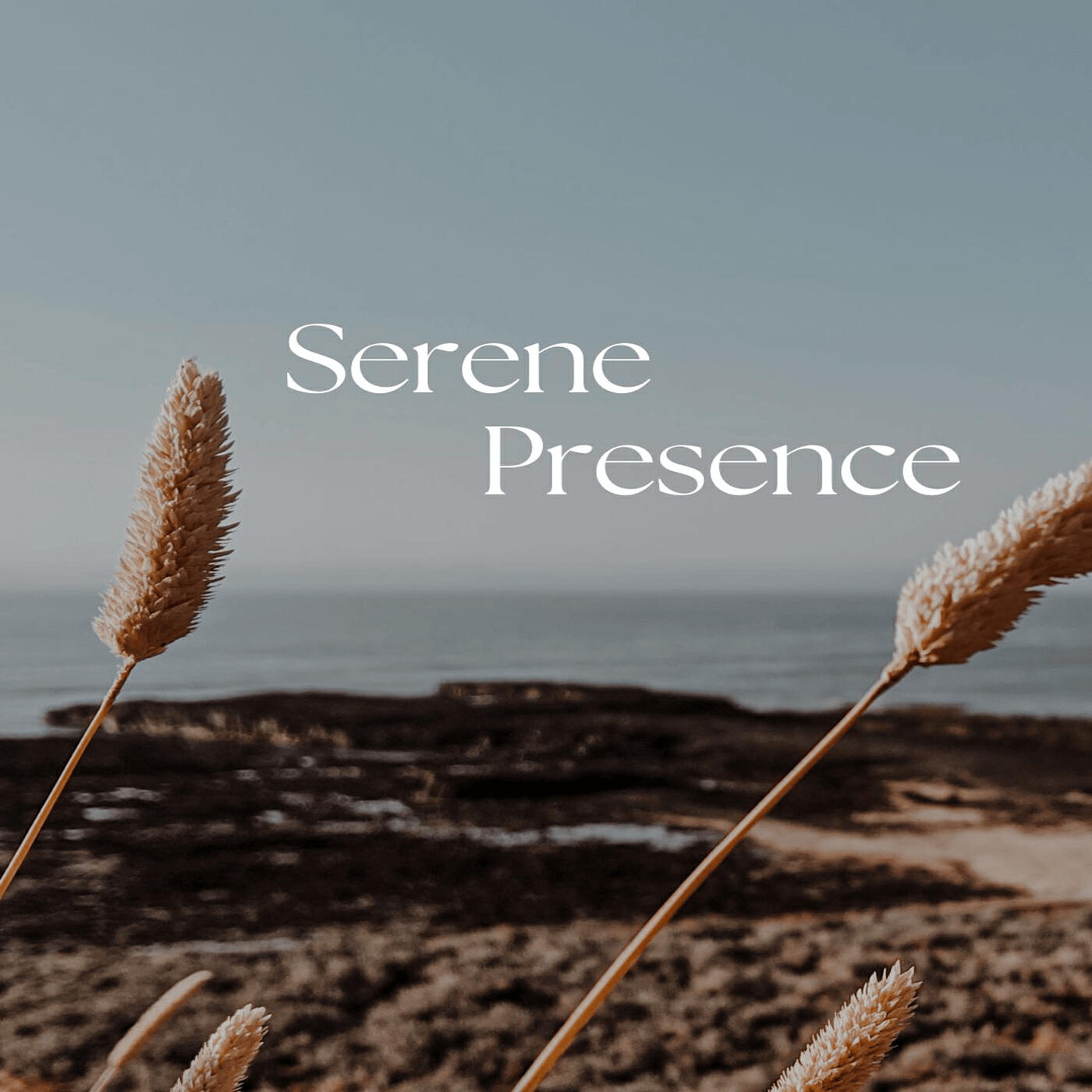 Релиз Serene Presence