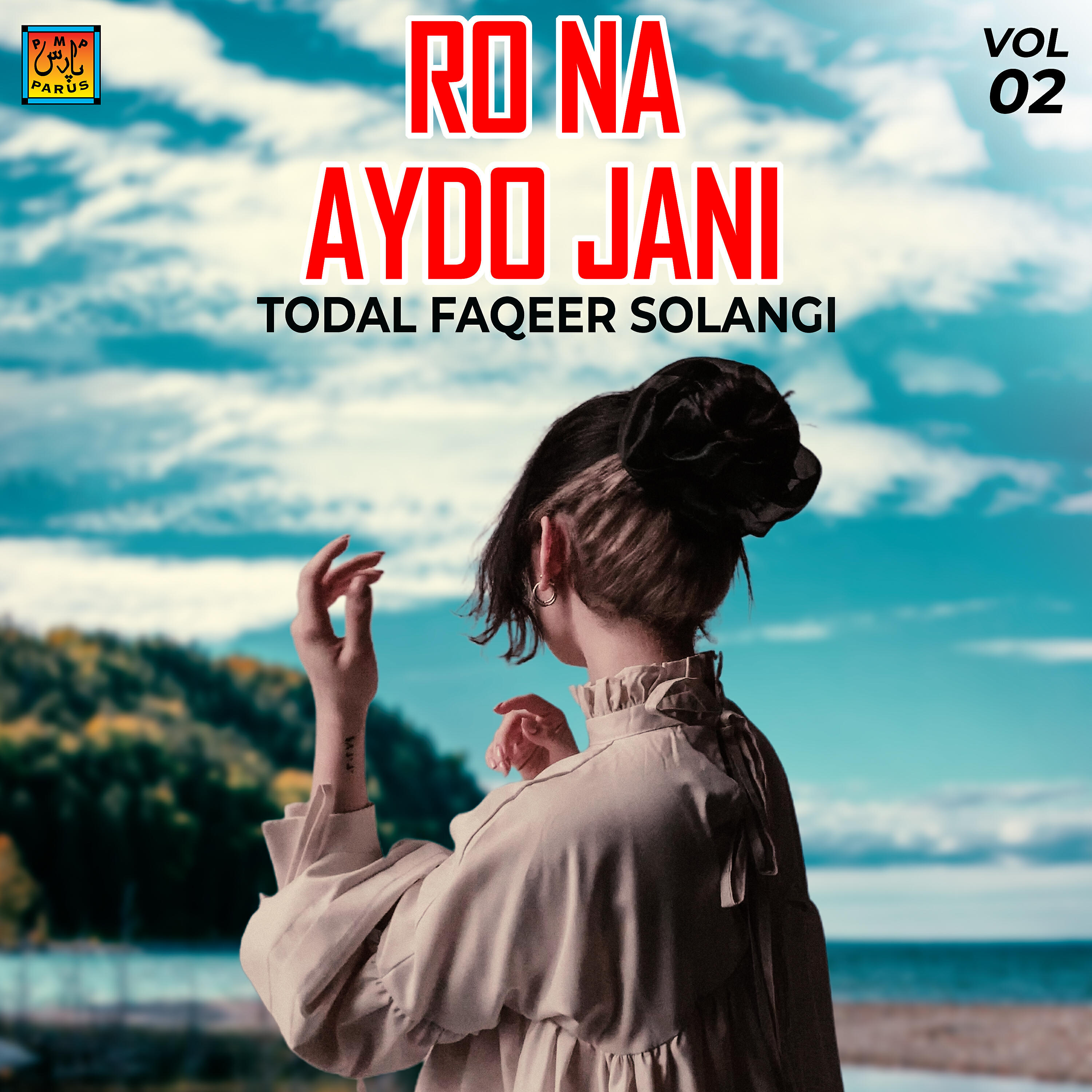 Релиз Ro Na Aydo Jani, Vol. 2