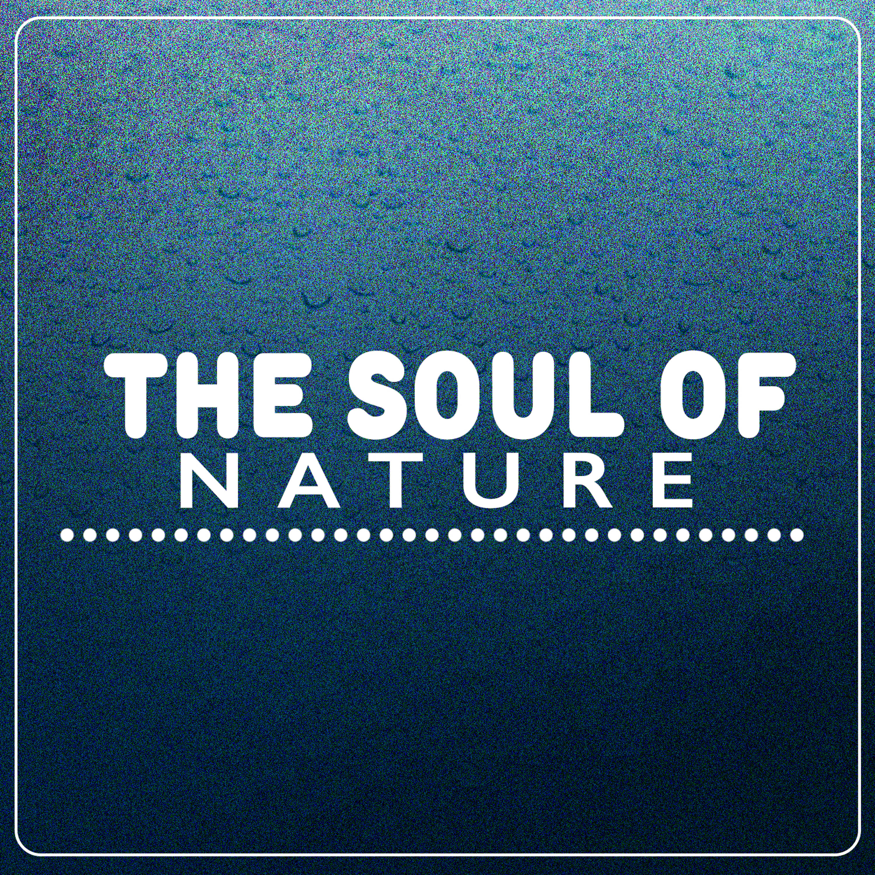 Релиз The Soul of Nature
