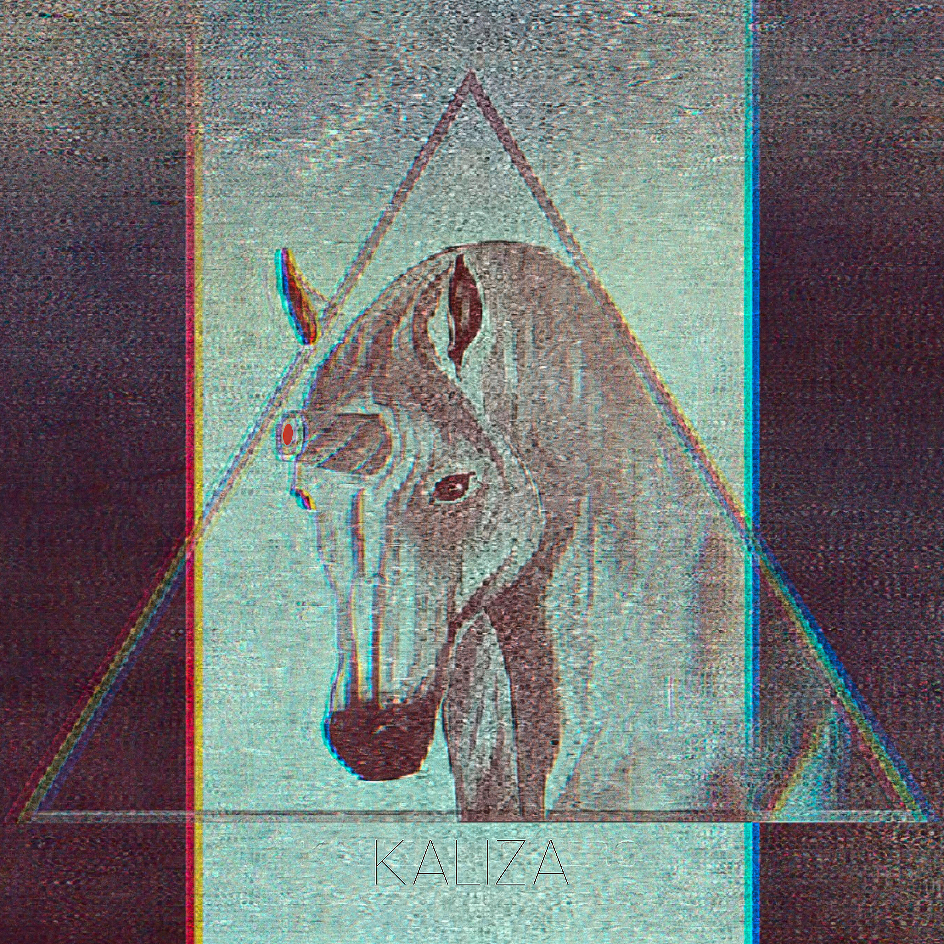 Kaliza Ingenioso