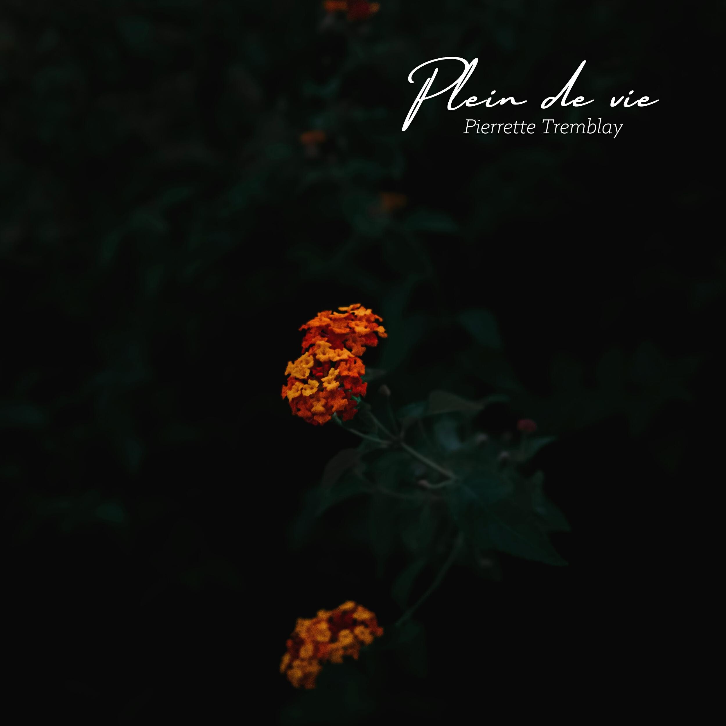 Релиз Plein De Vie