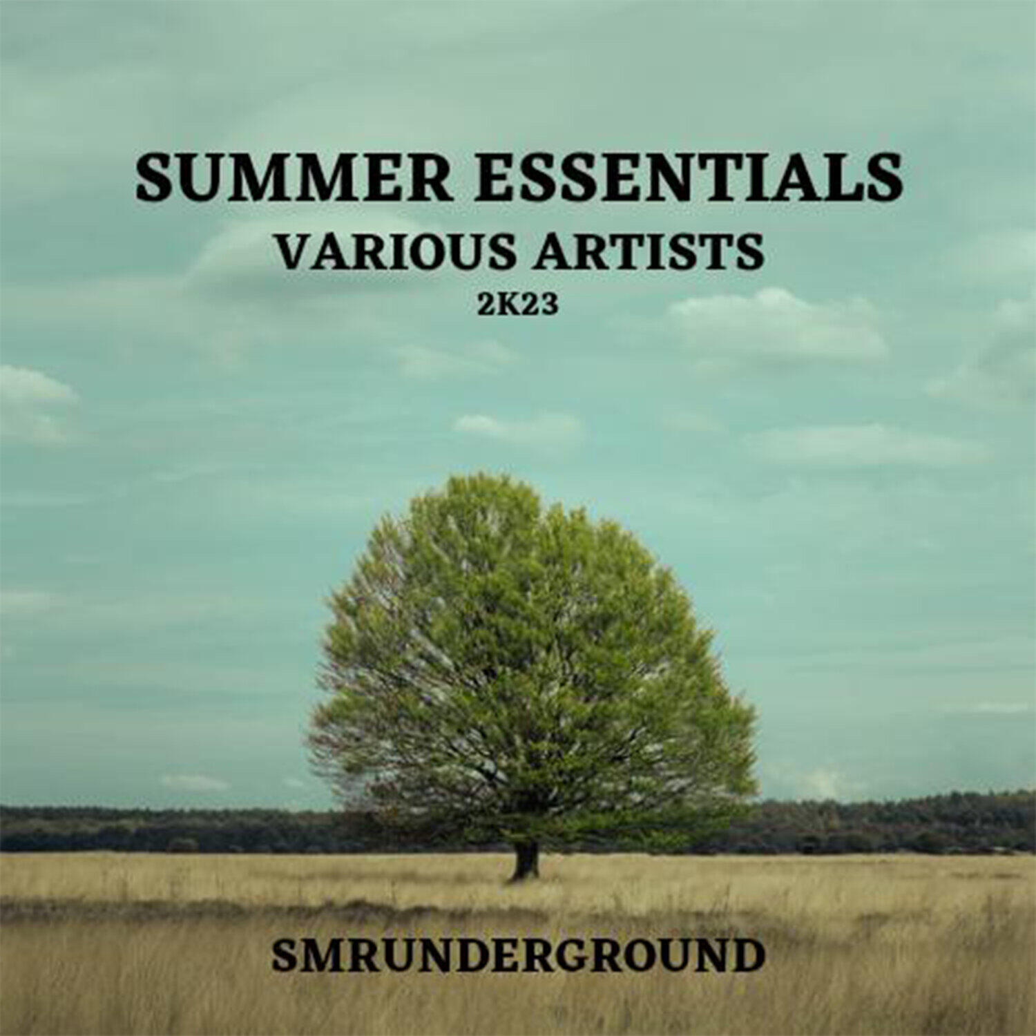 Релиз Summer Essentials 2k23