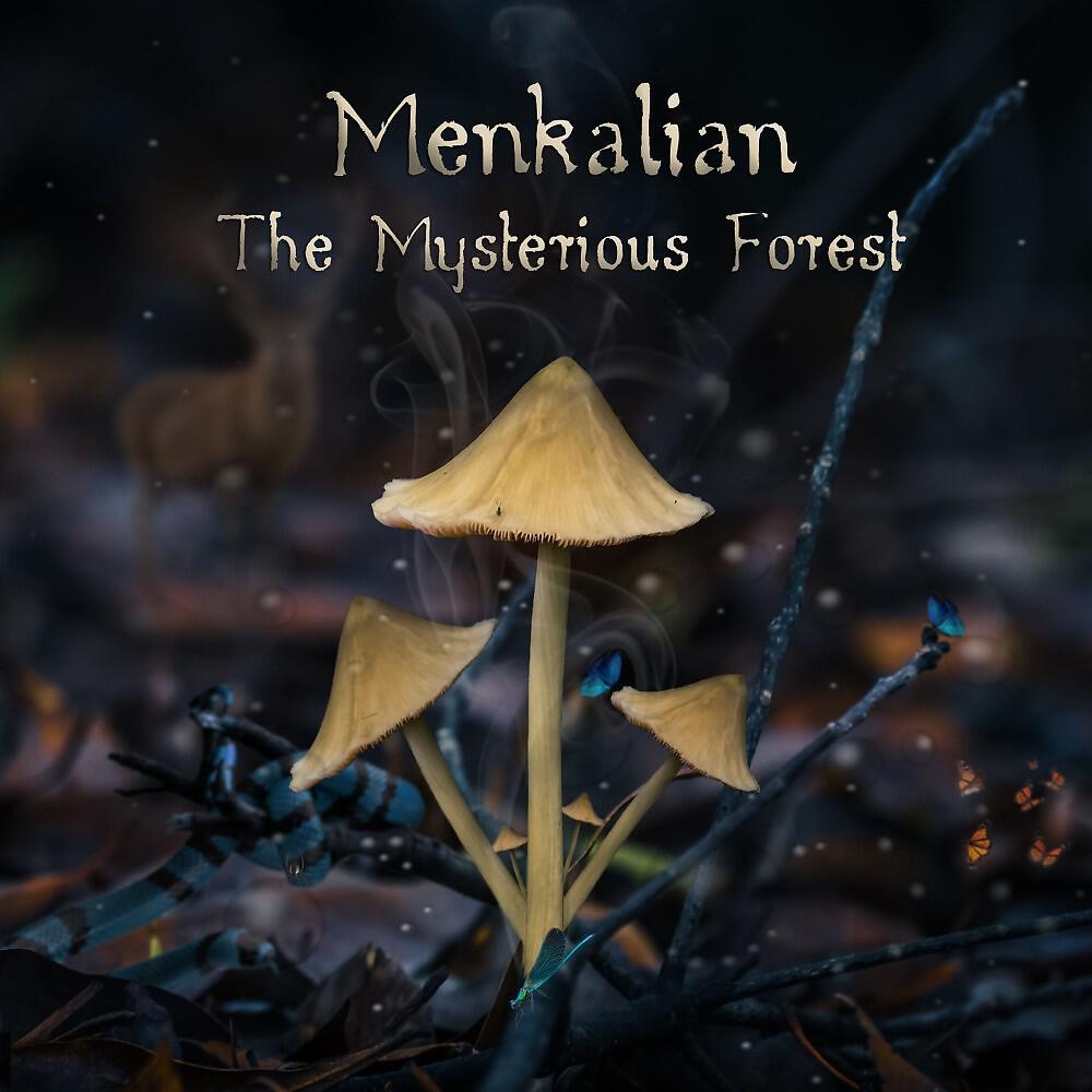 Релиз The Mysterious Forest