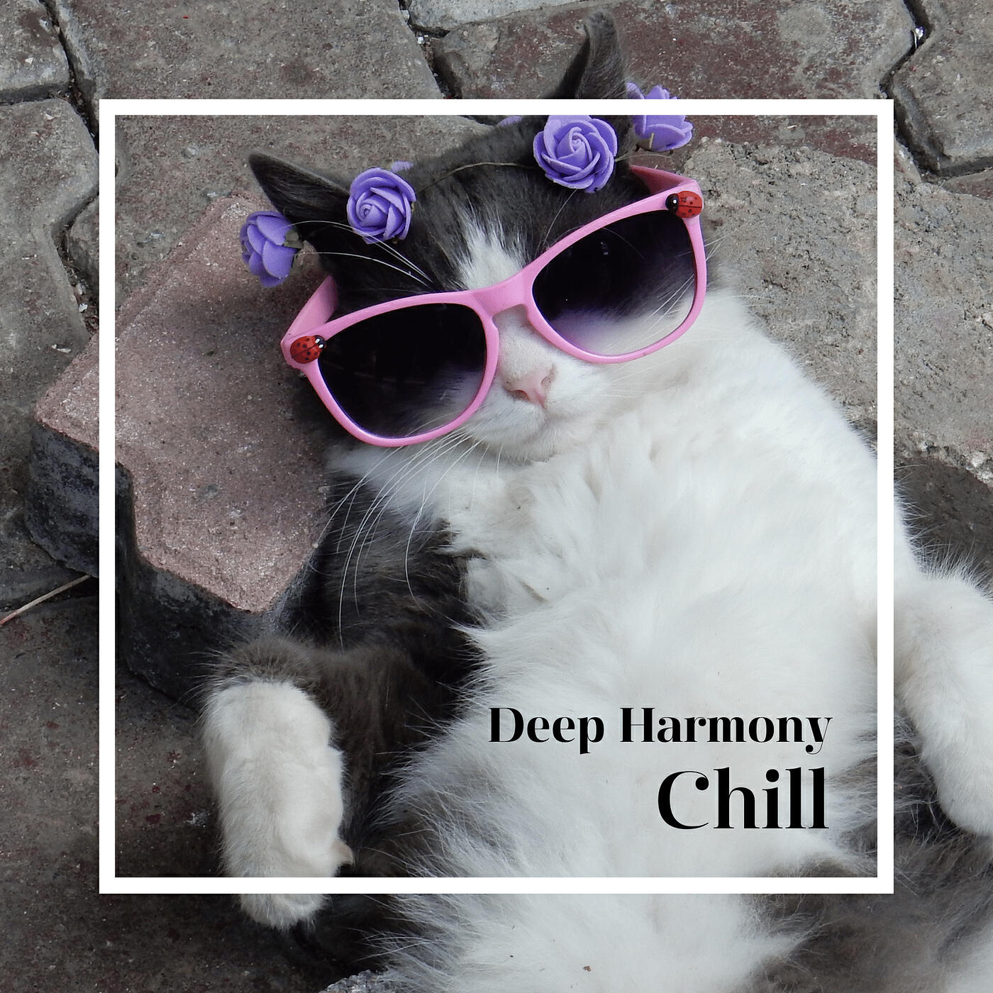Релиз Chill