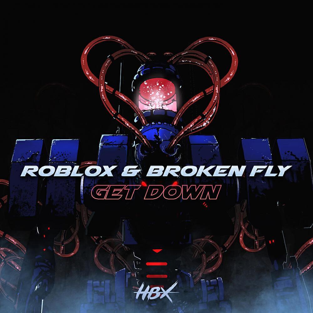 Broken Fly