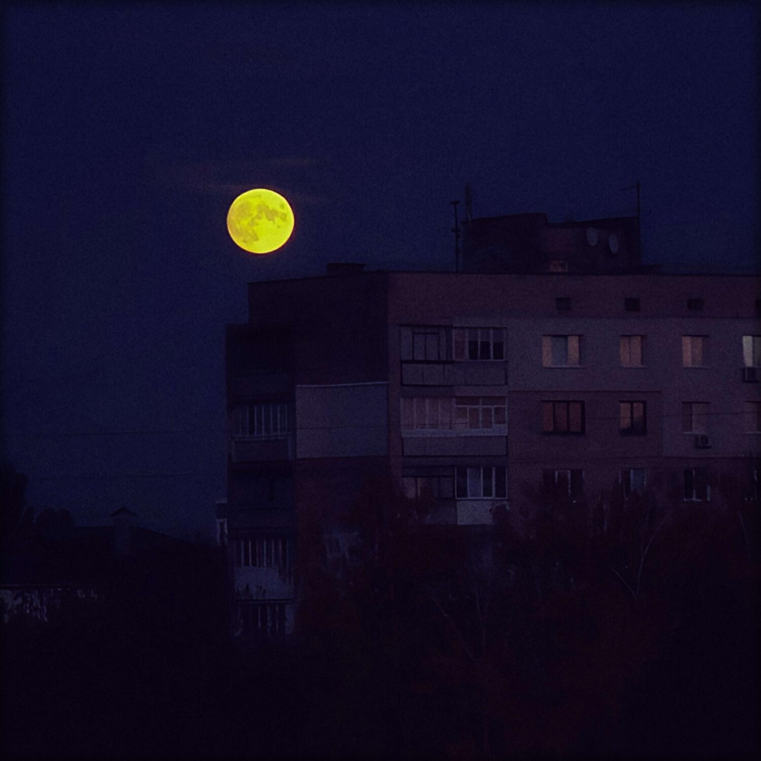 Релиз wasted.