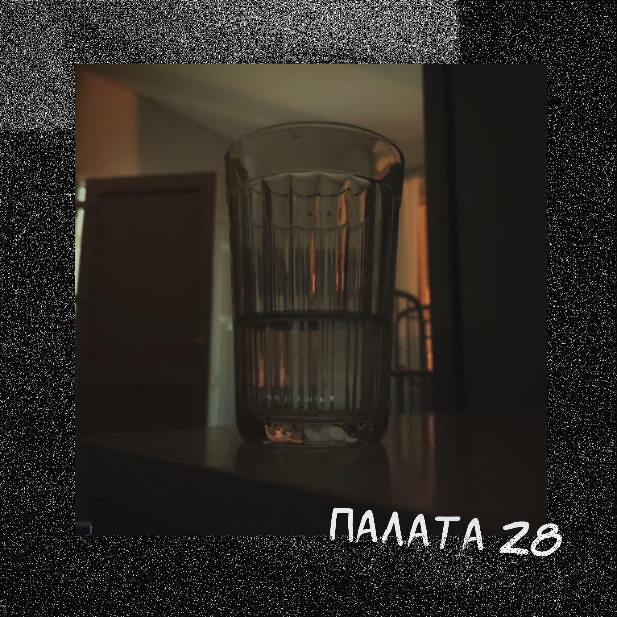 Релиз Палата 28