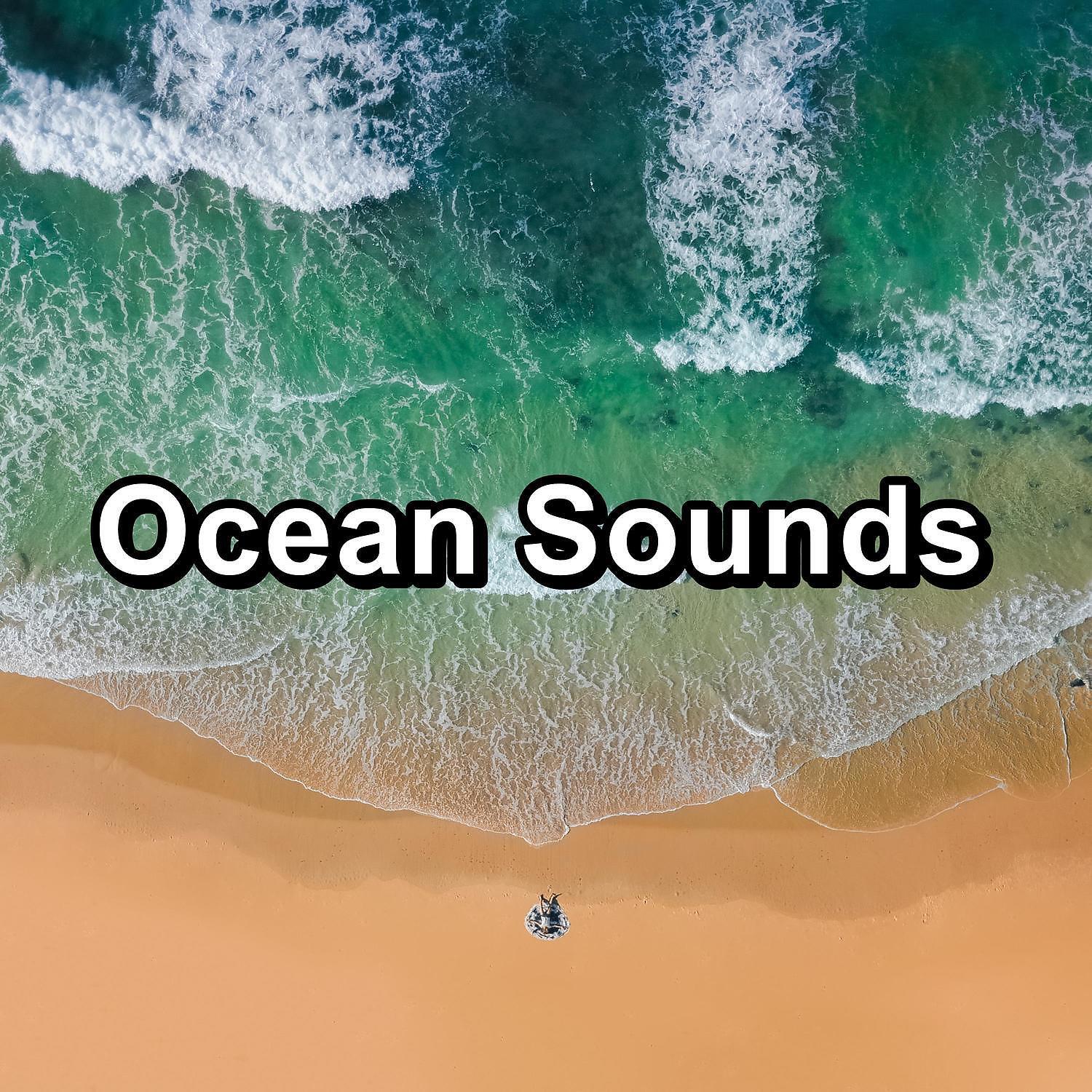 Релиз Ocean Sounds