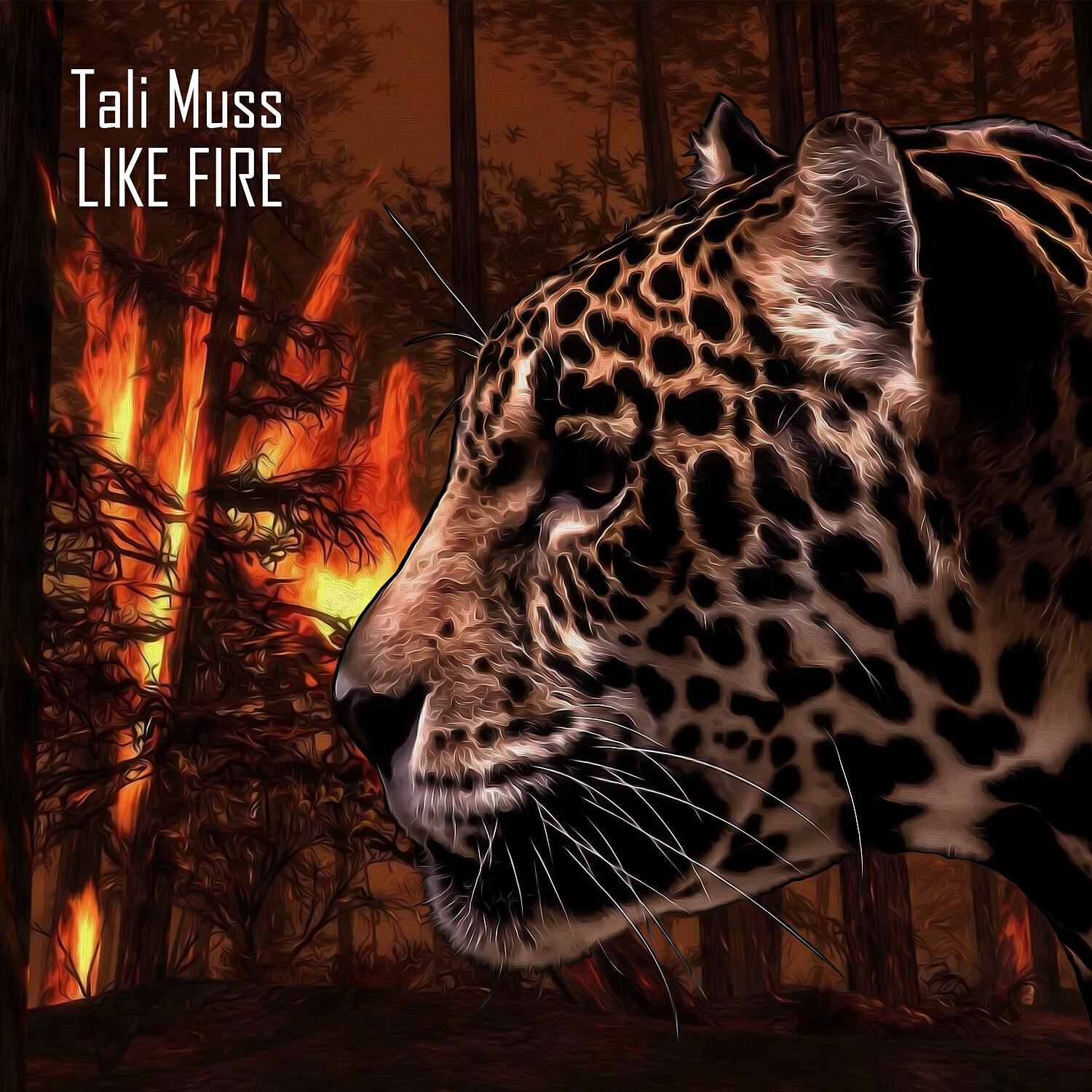 Релиз Like Fire