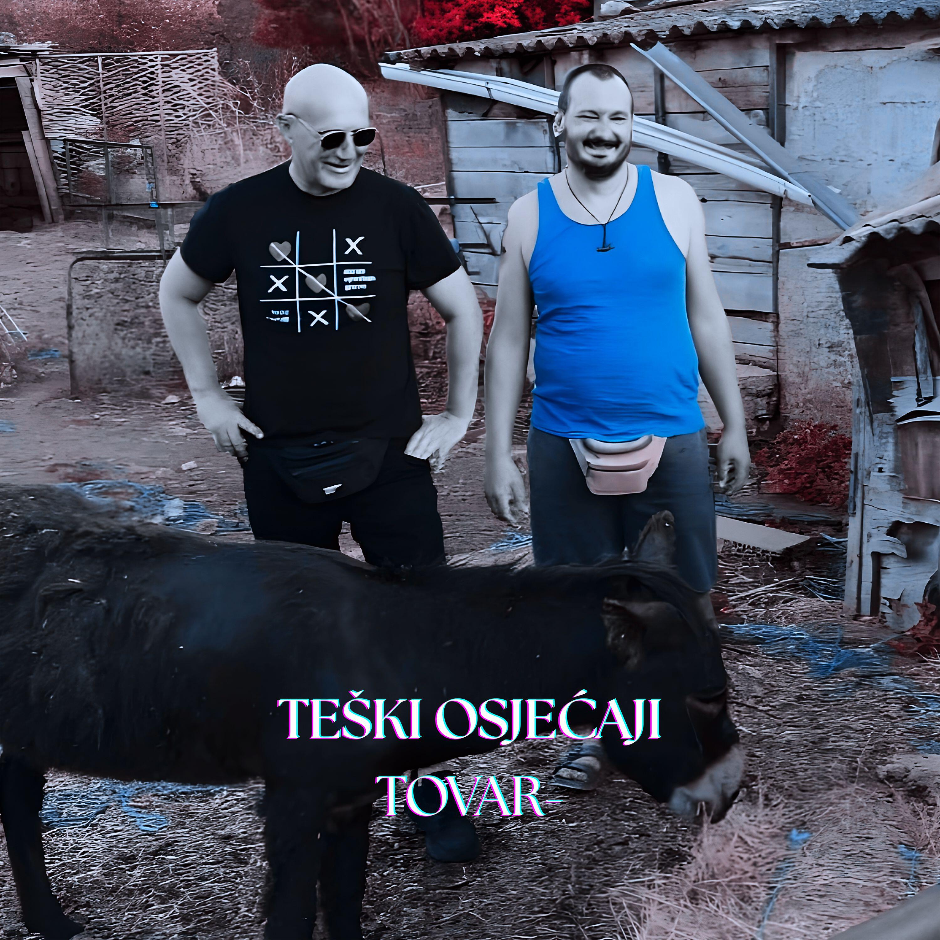 Релиз Tovar