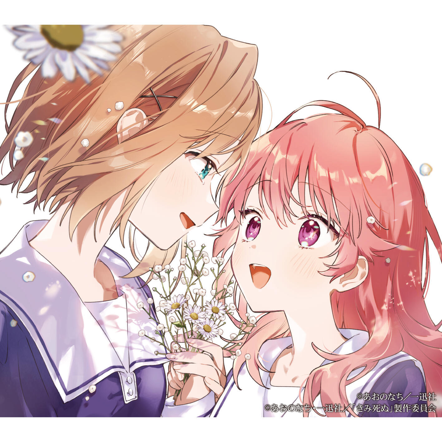 Релиз Amore