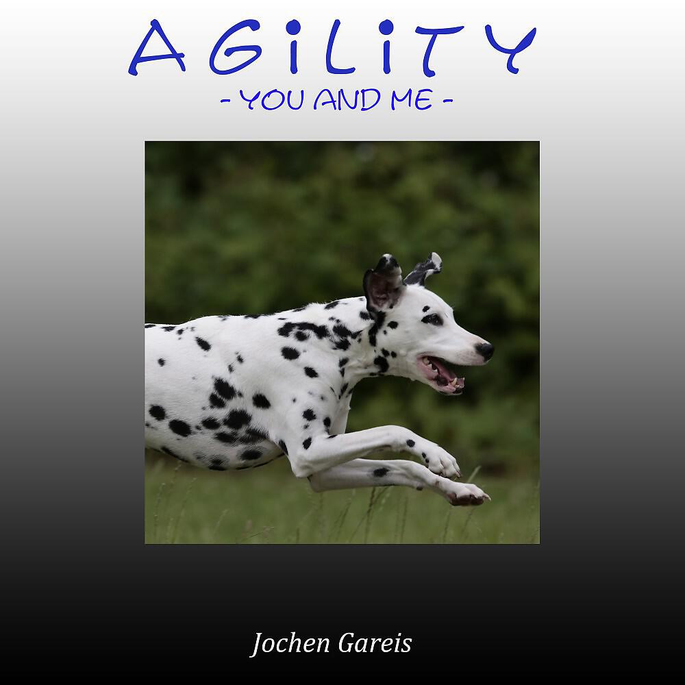Релиз Agility (You and Me)