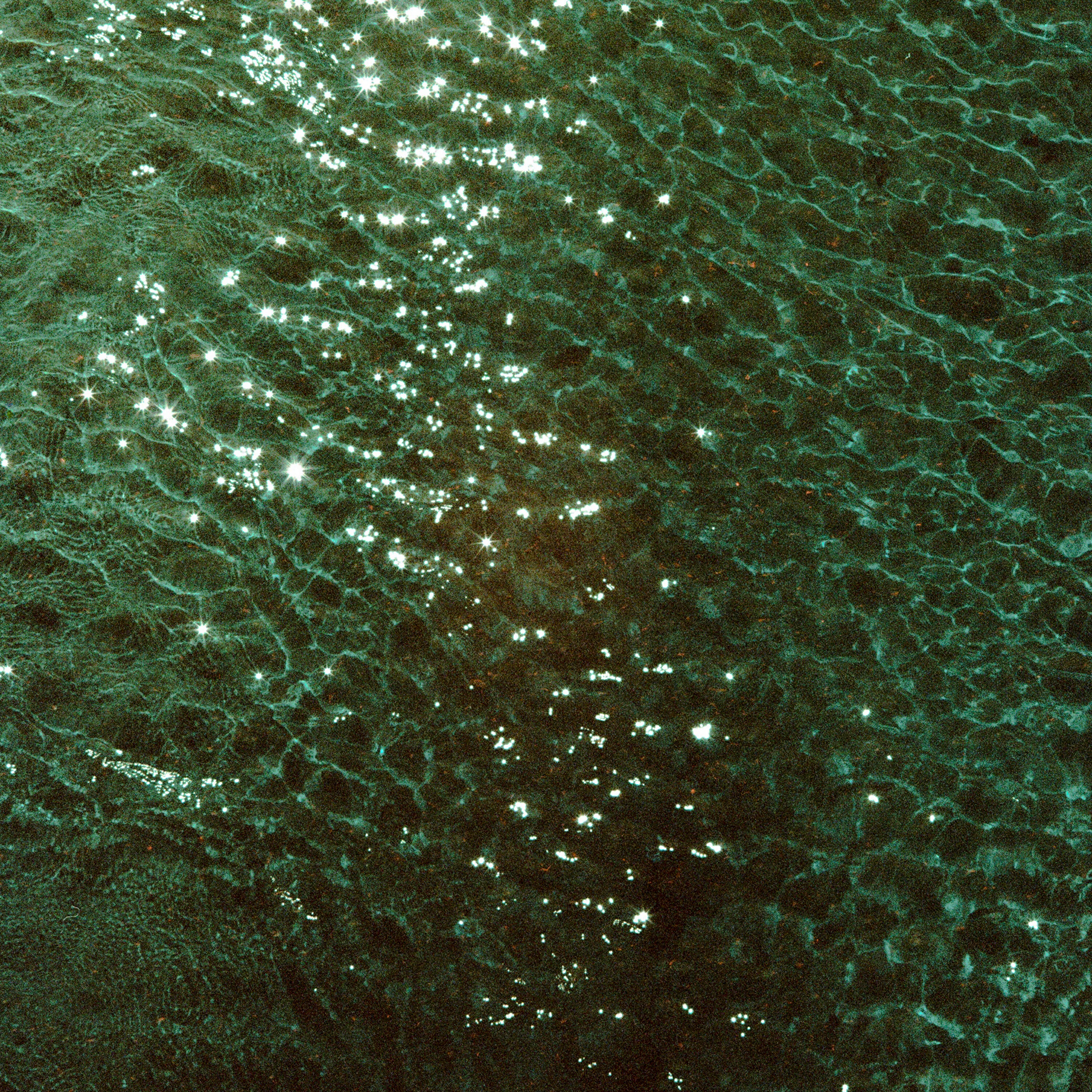 Spectrax