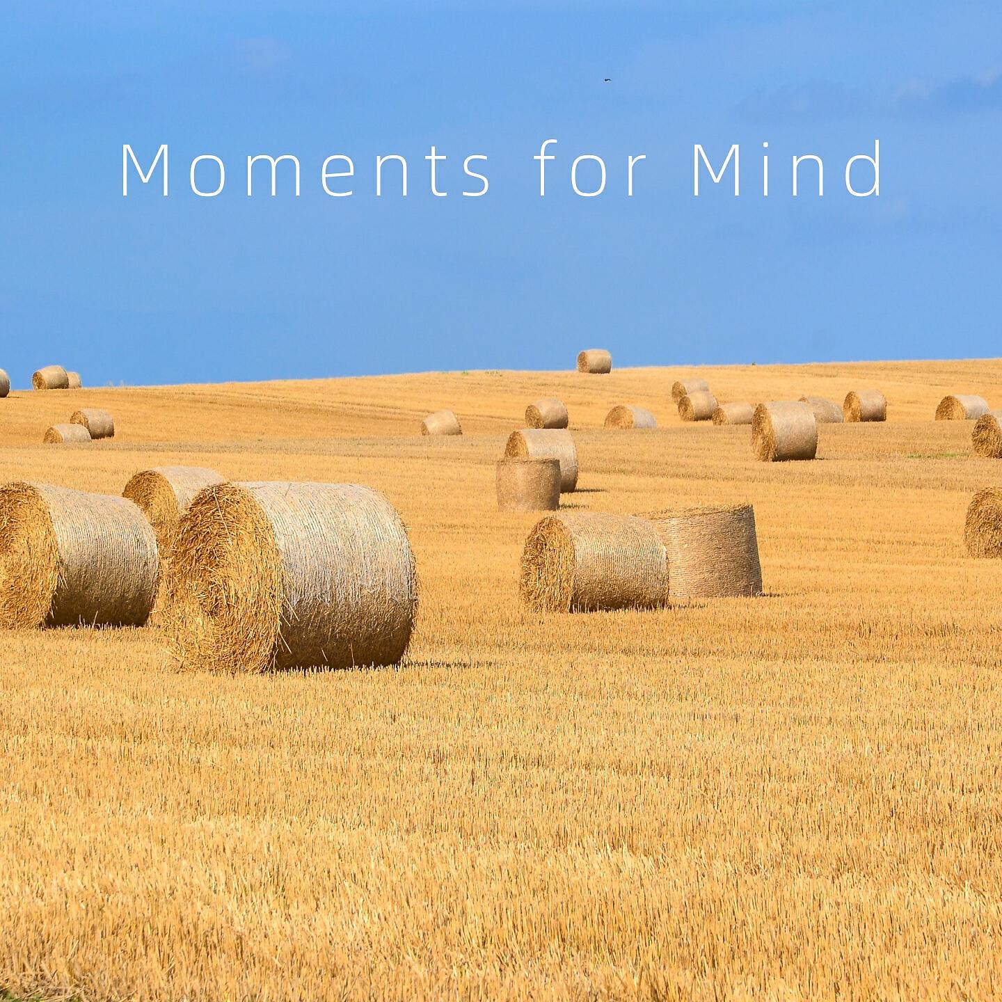 Релиз Moments for Mind