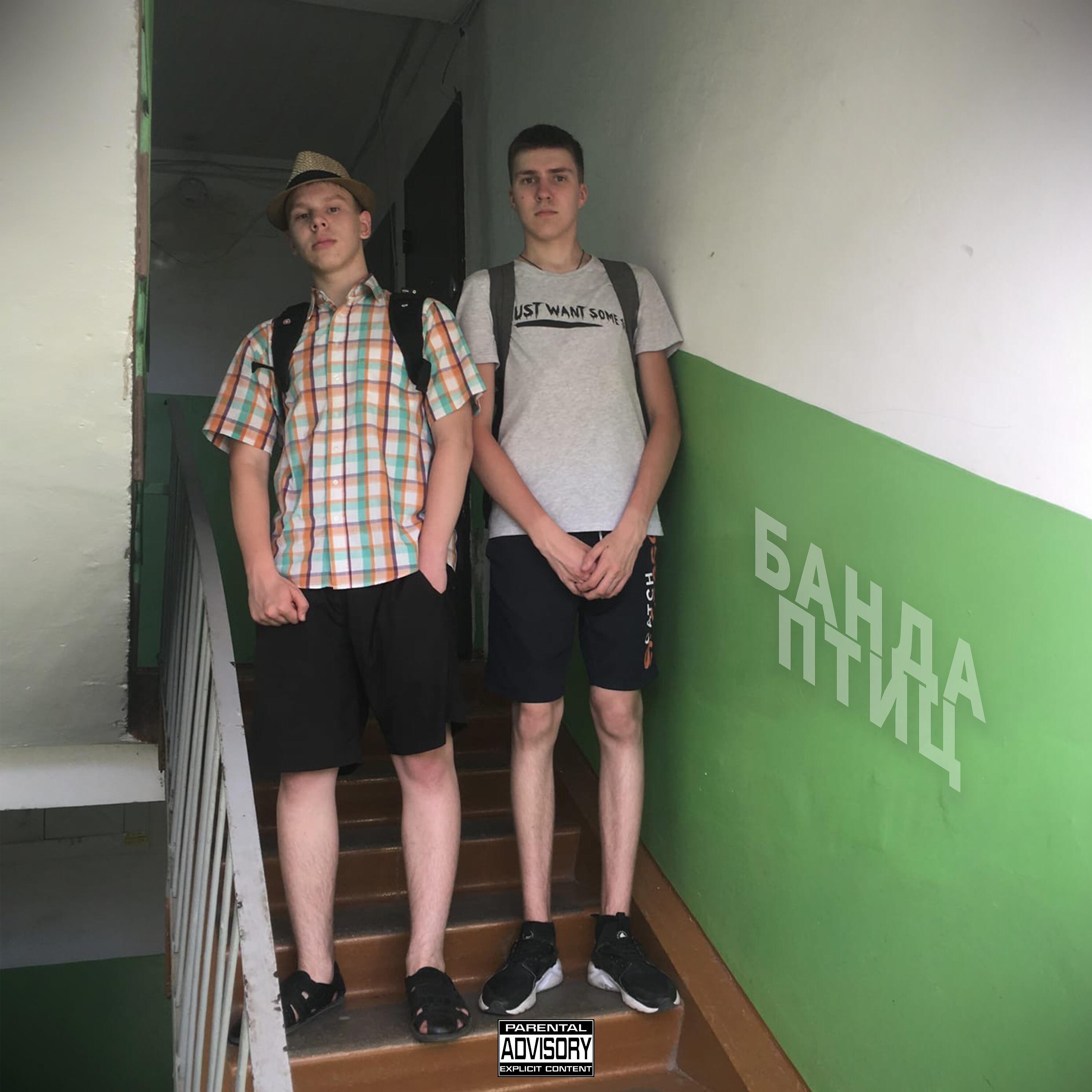 Релиз Банда птиц