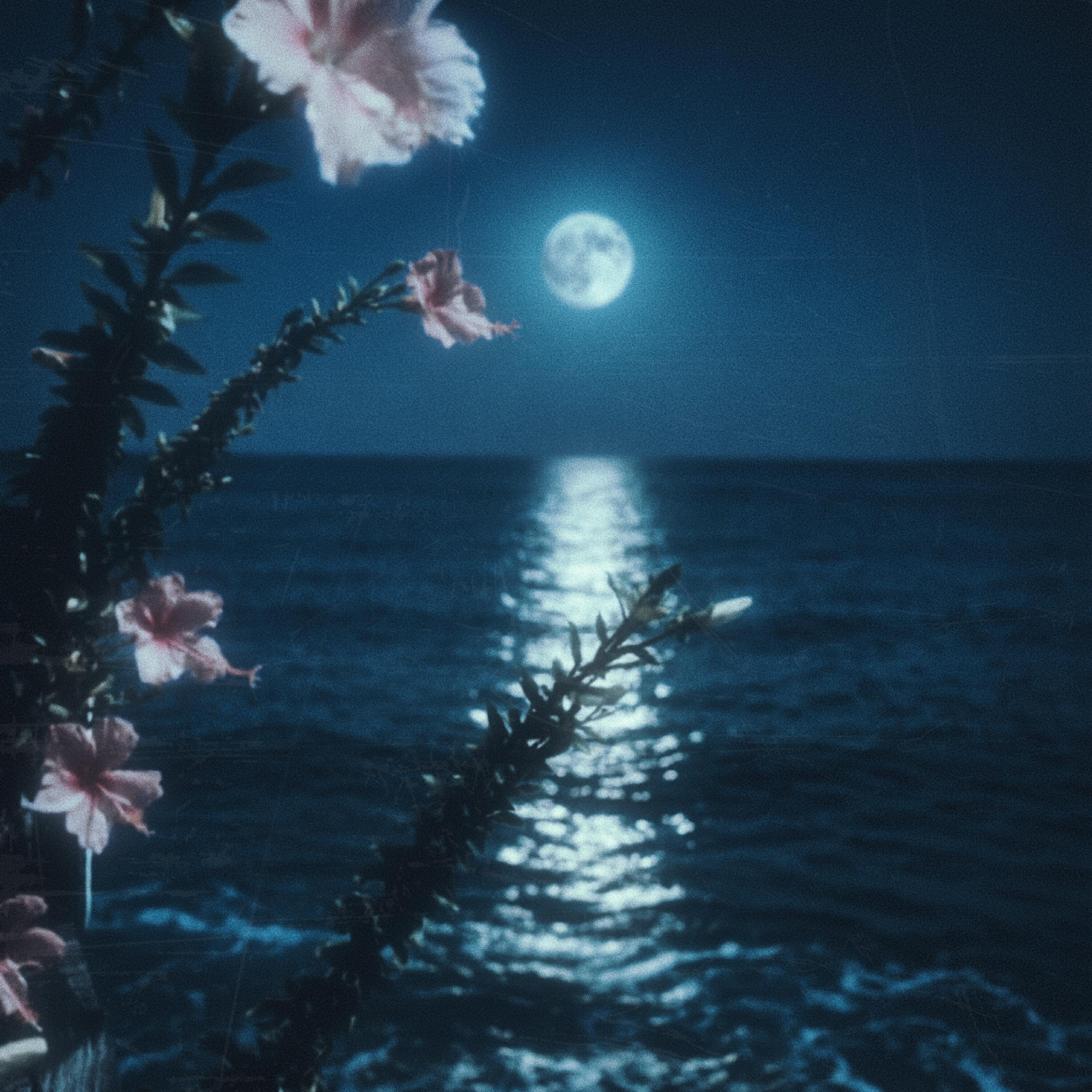 Релиз silver moon