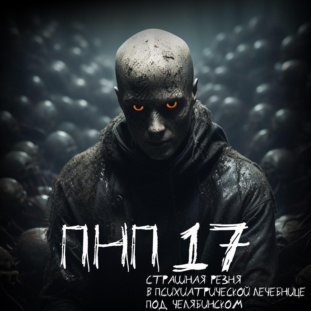 Книга ПНП №17