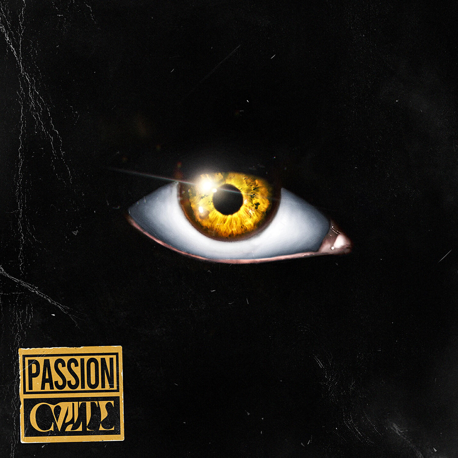 Релиз Passion