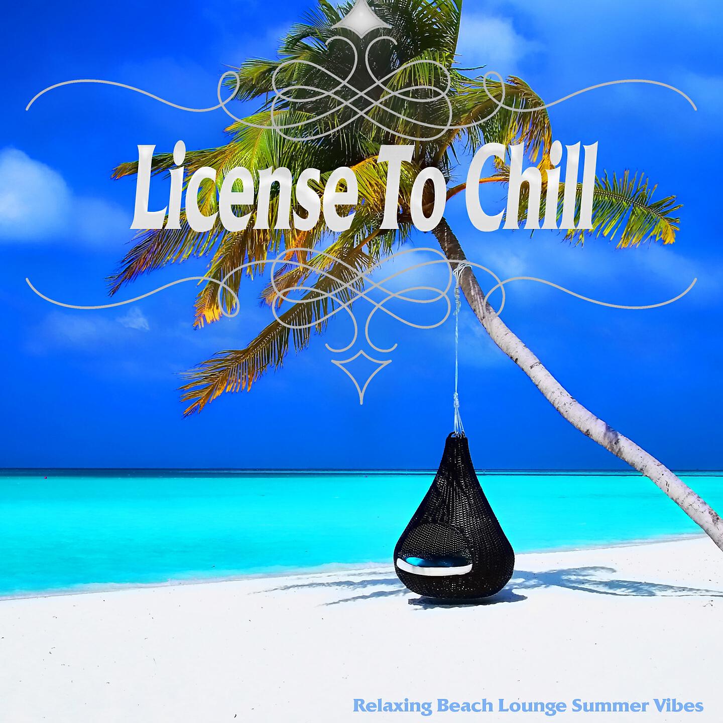 Постер альбома License To Chill