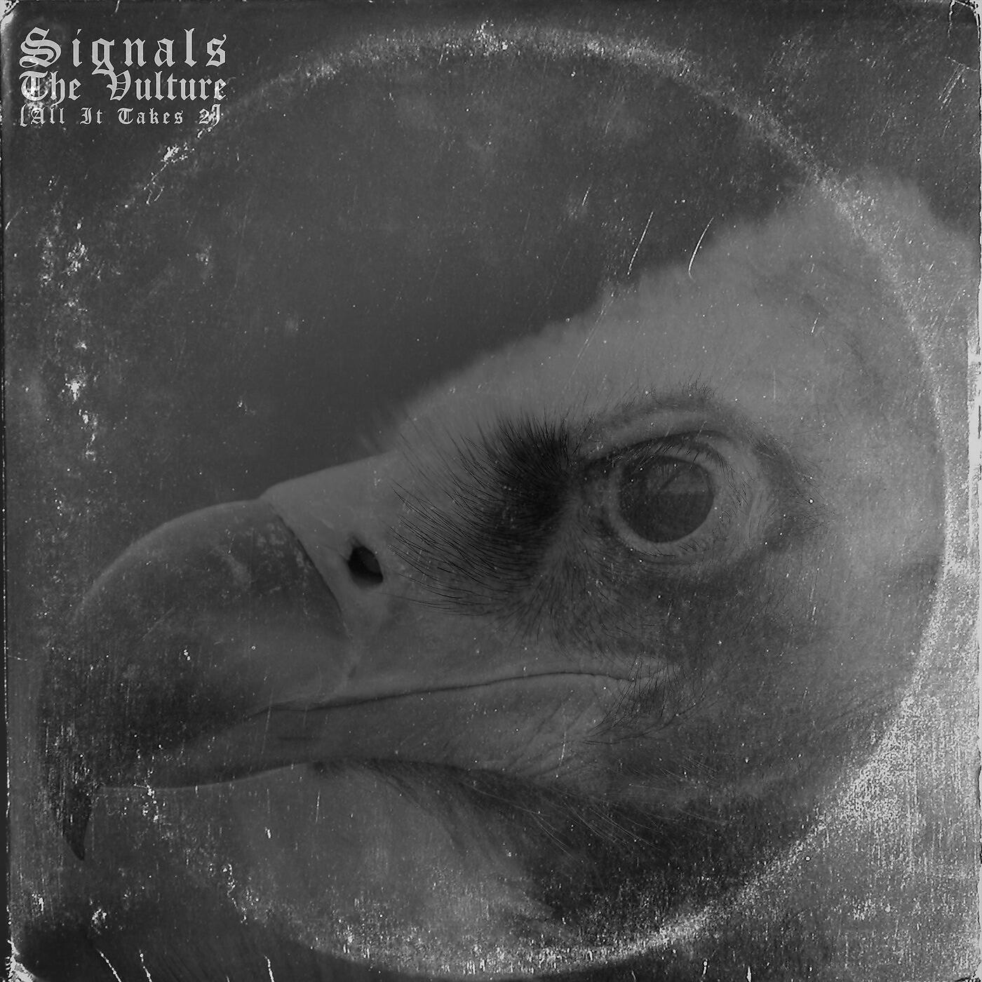 Релиз The Vulture (All It Takes II)