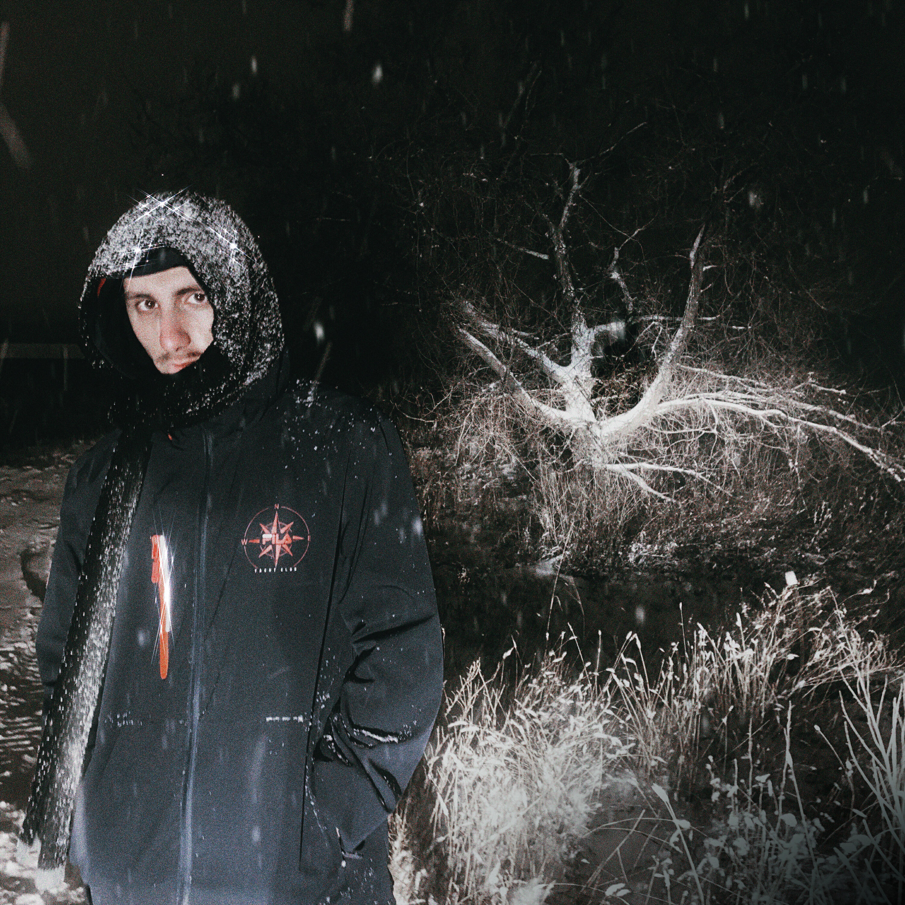 Релиз First snow