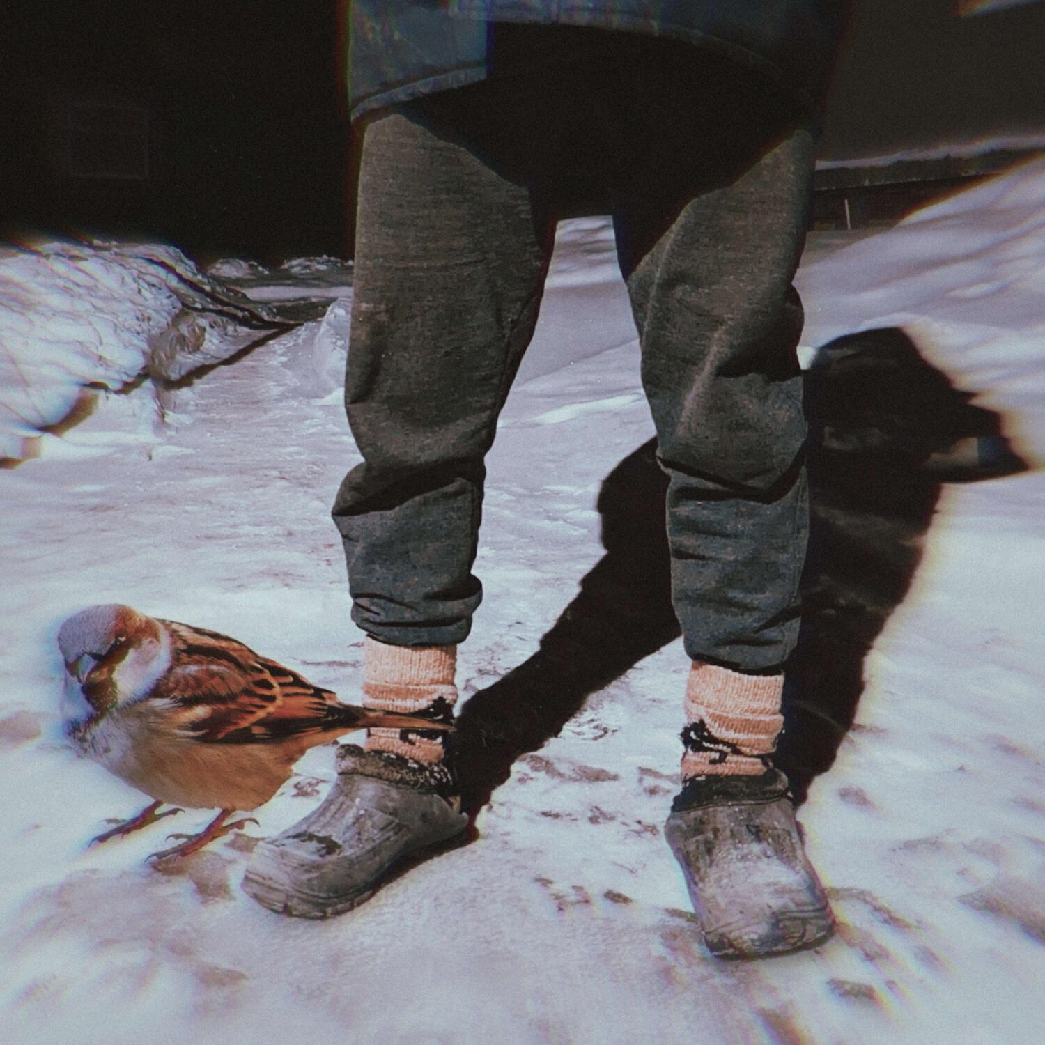 Постер альбома Чыпчык