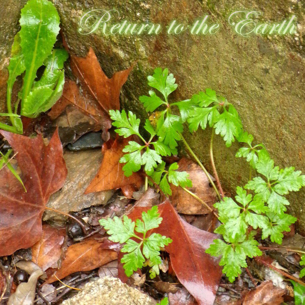 Релиз Return to the Earth
