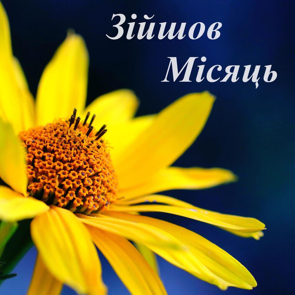 Релиз Зійшов місяць, зійшов ясний