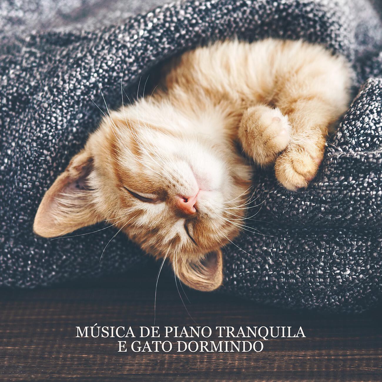 Релиз Música de Piano Tranquila e Gato Dormindo