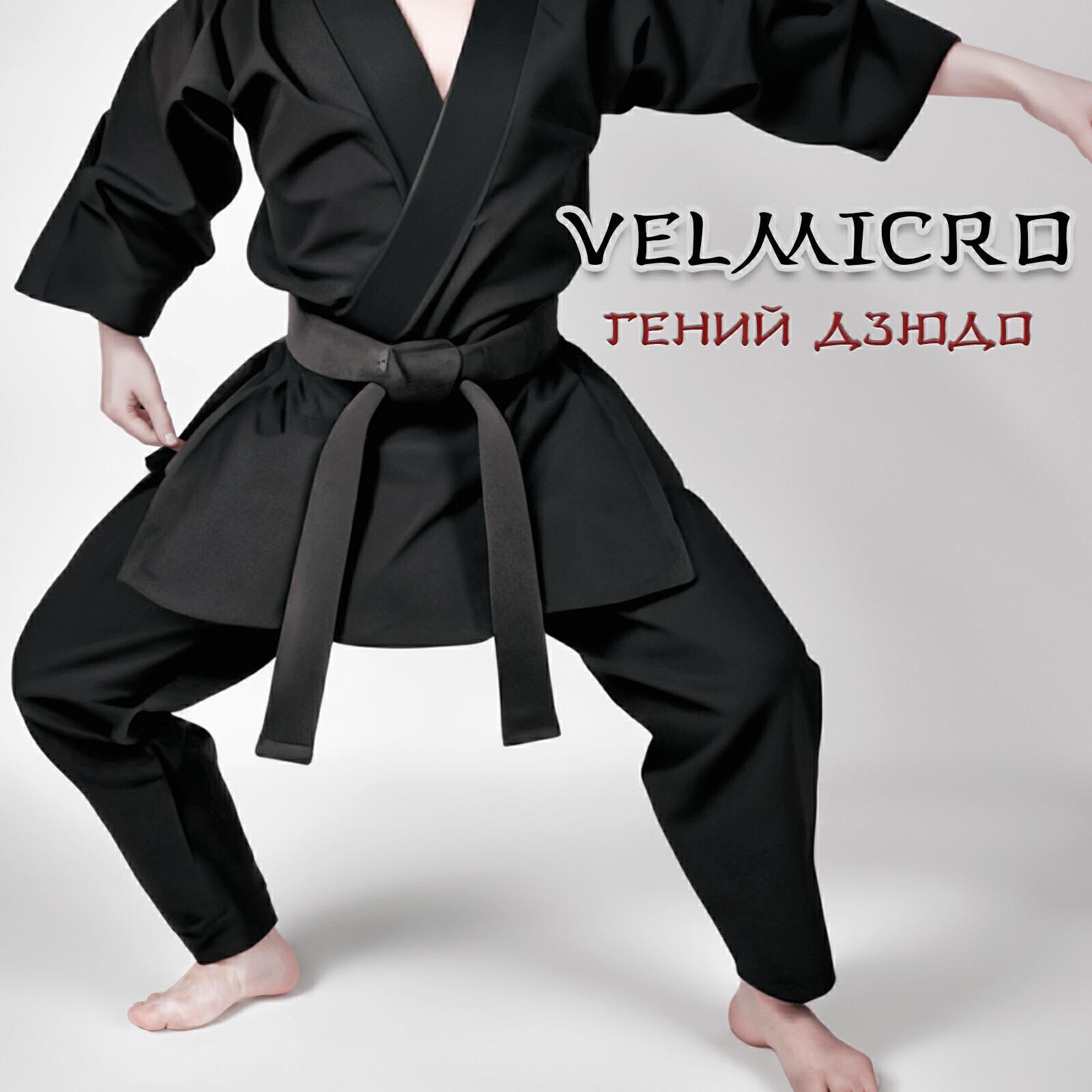 VELMICRO