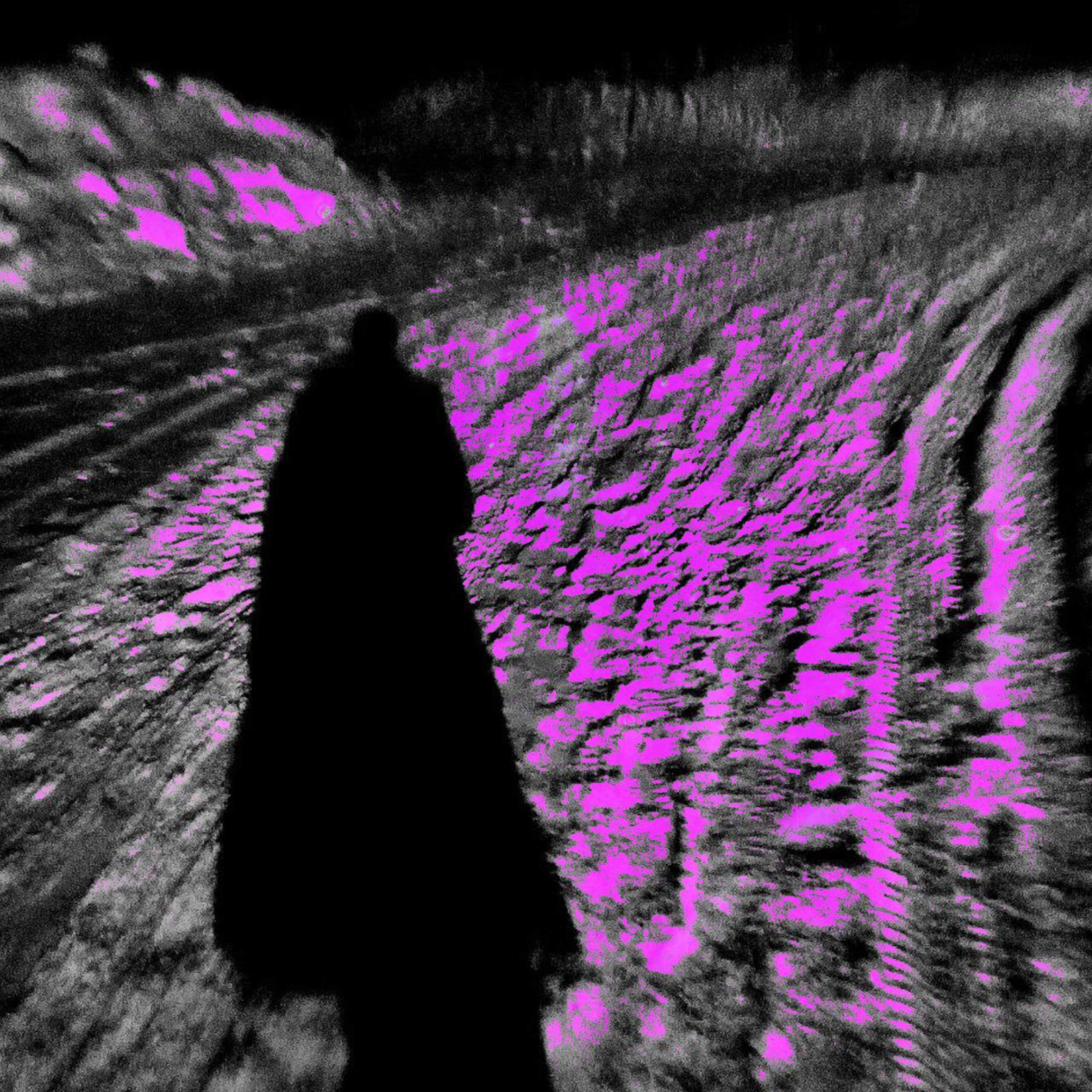 Релиз Дорога