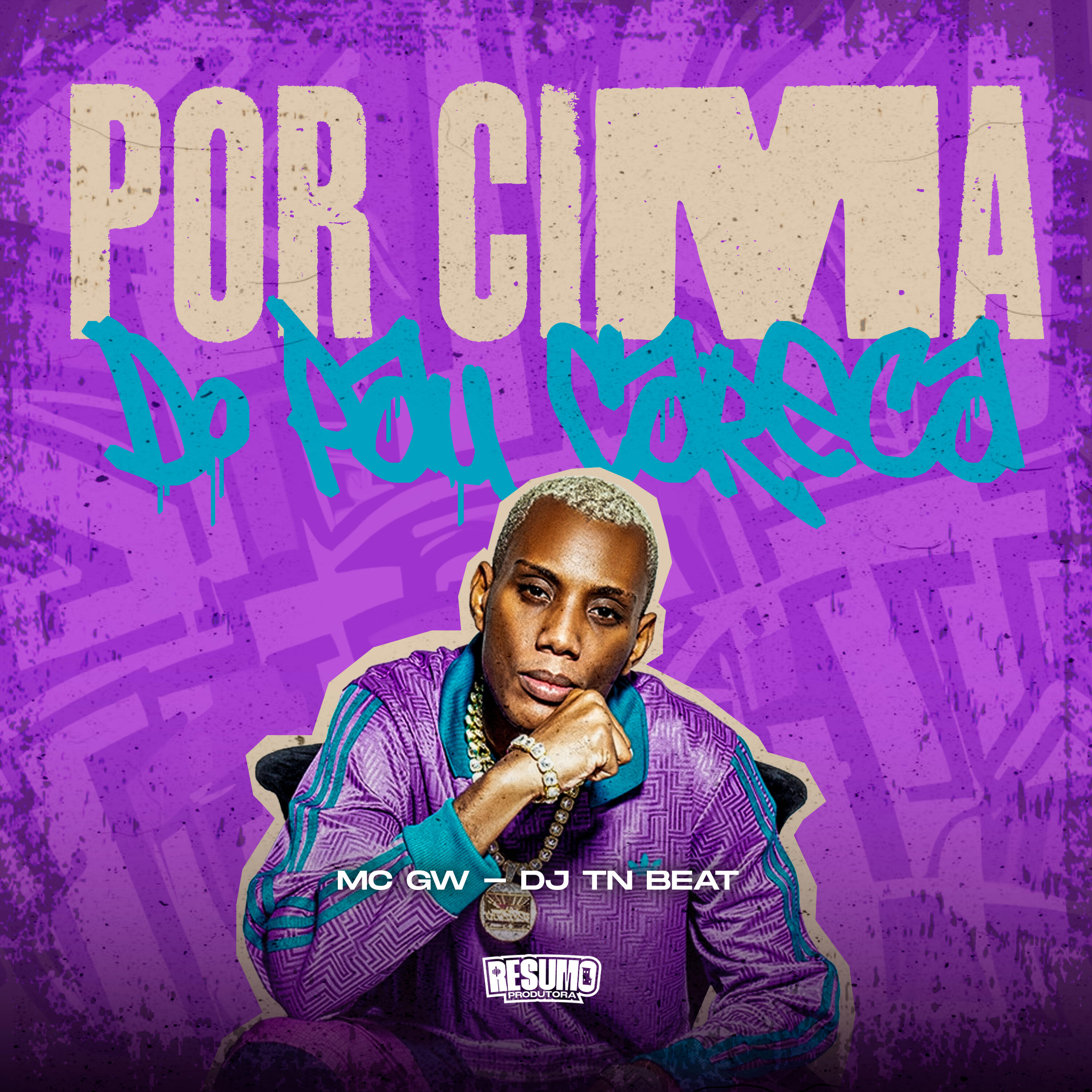 Скачать песню Mc GW, DJ TN Beat, Resumo Produtora - Por Cima do Pau Careca бесплатно в MP3 для Android и iOS