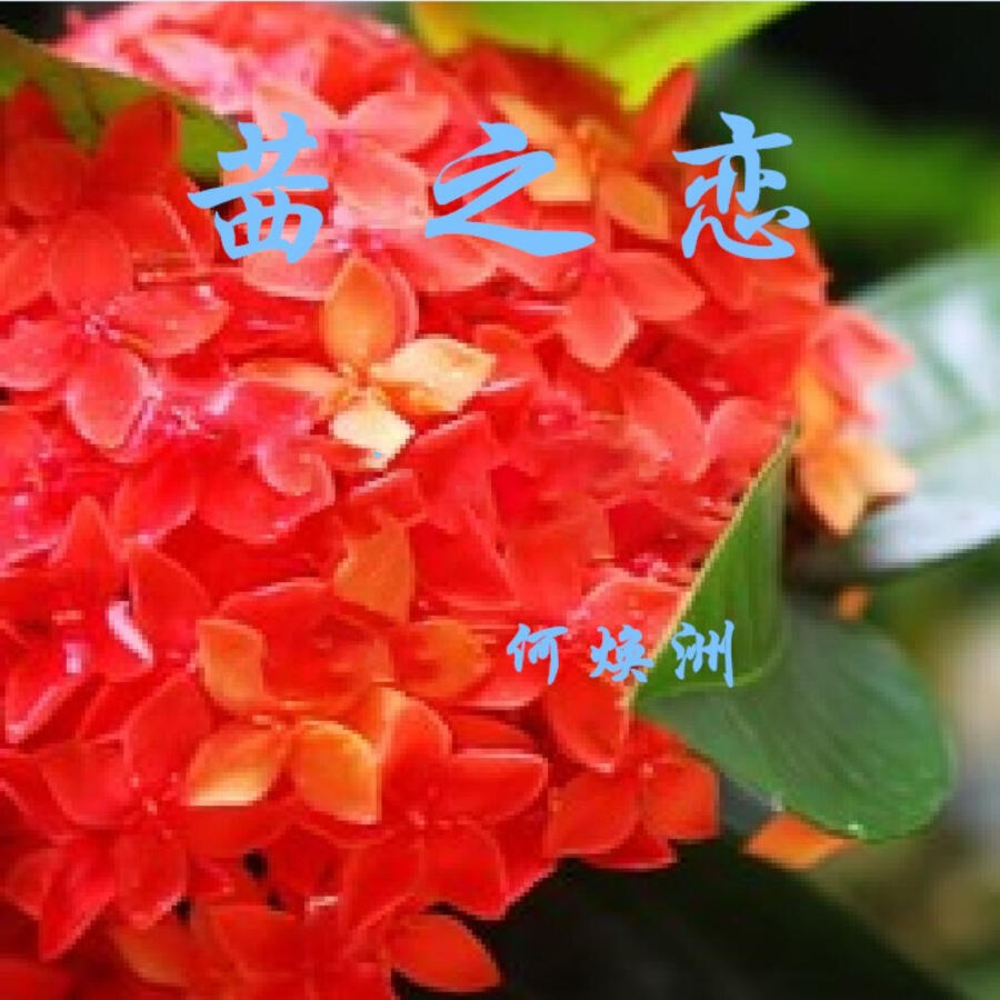 Волна по релизу