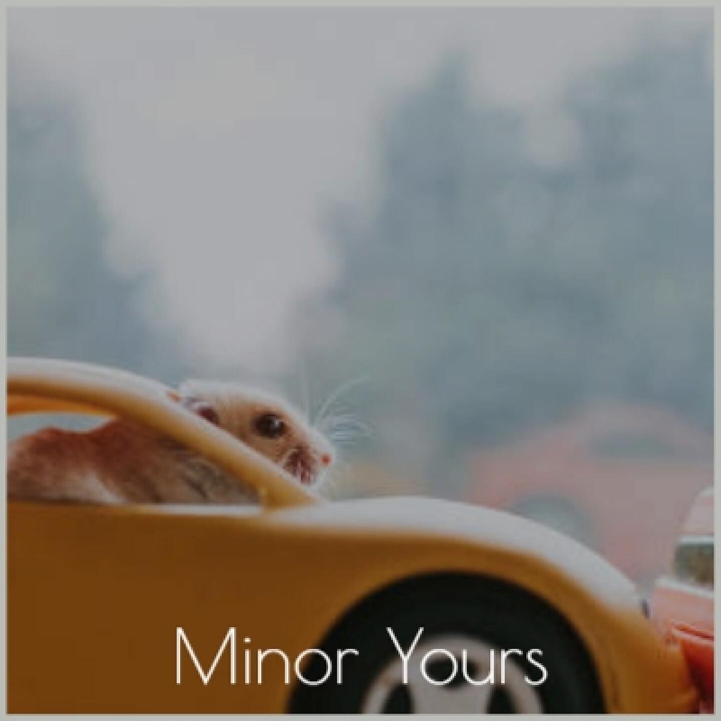Релиз Minor Yours