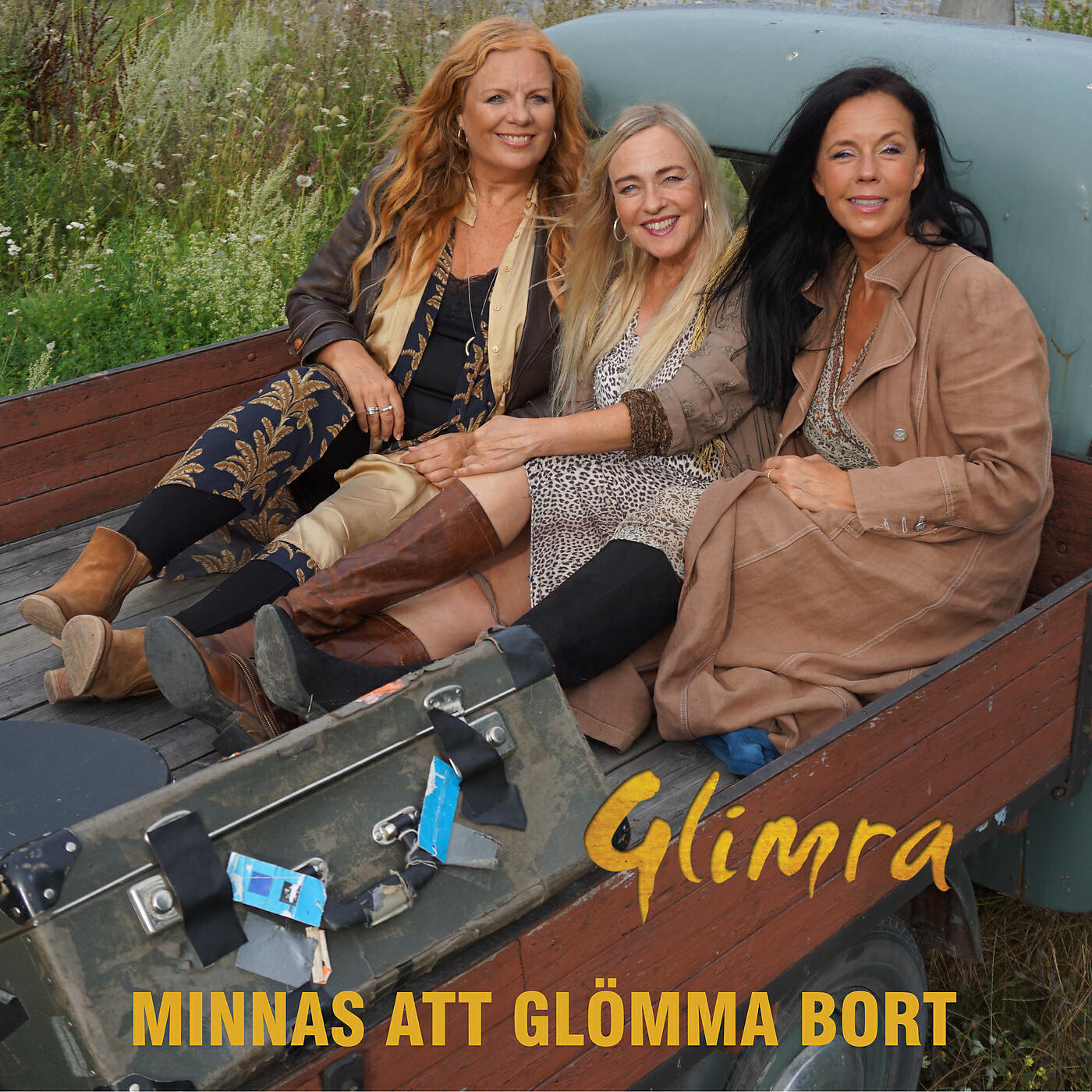 Релиз Minnas att glömma bort