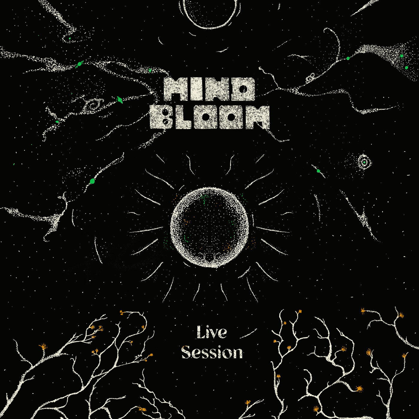 Релиз Bocal Session (Live at Le Bocal, Caen, 2025)