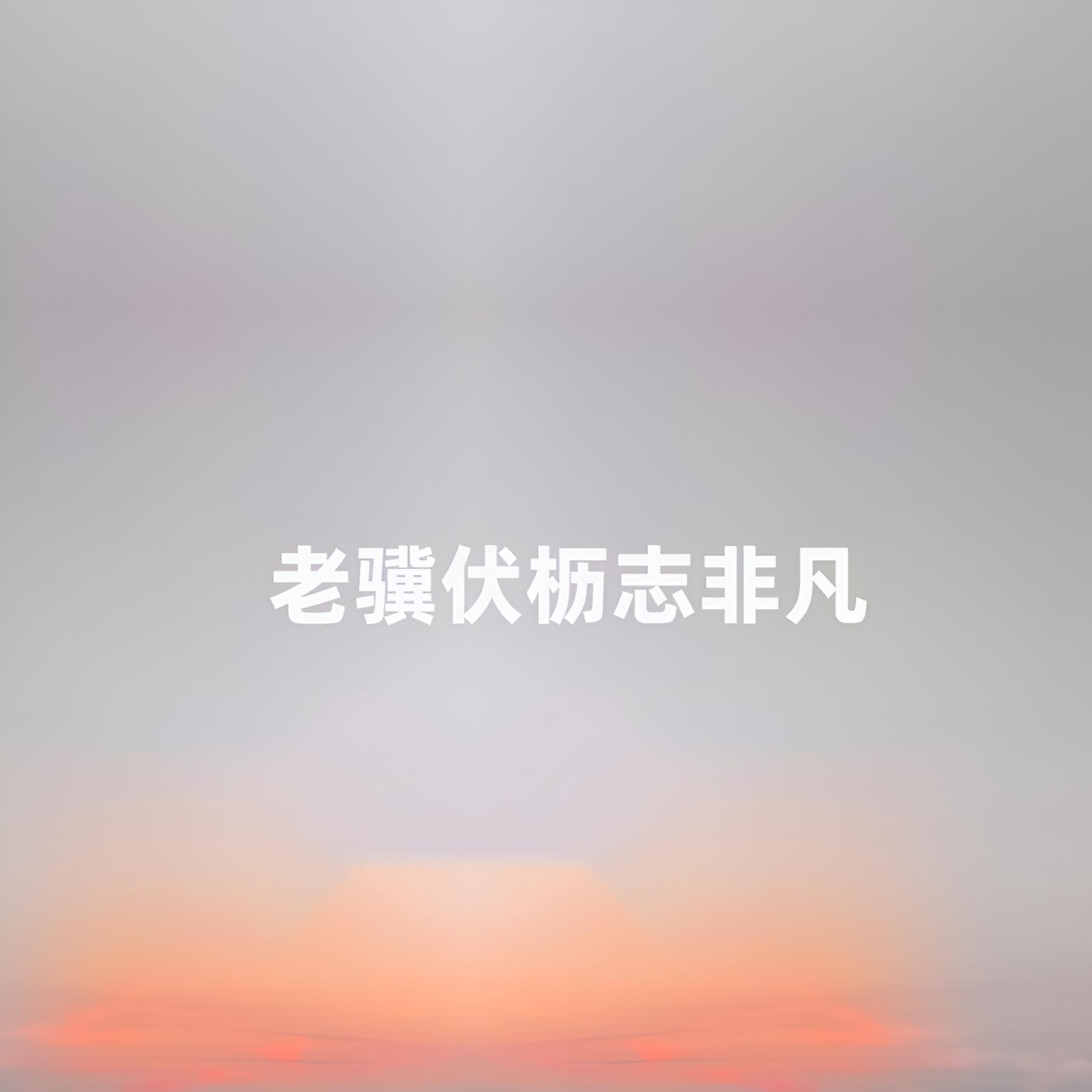 Релиз 老骥伏枥志非凡