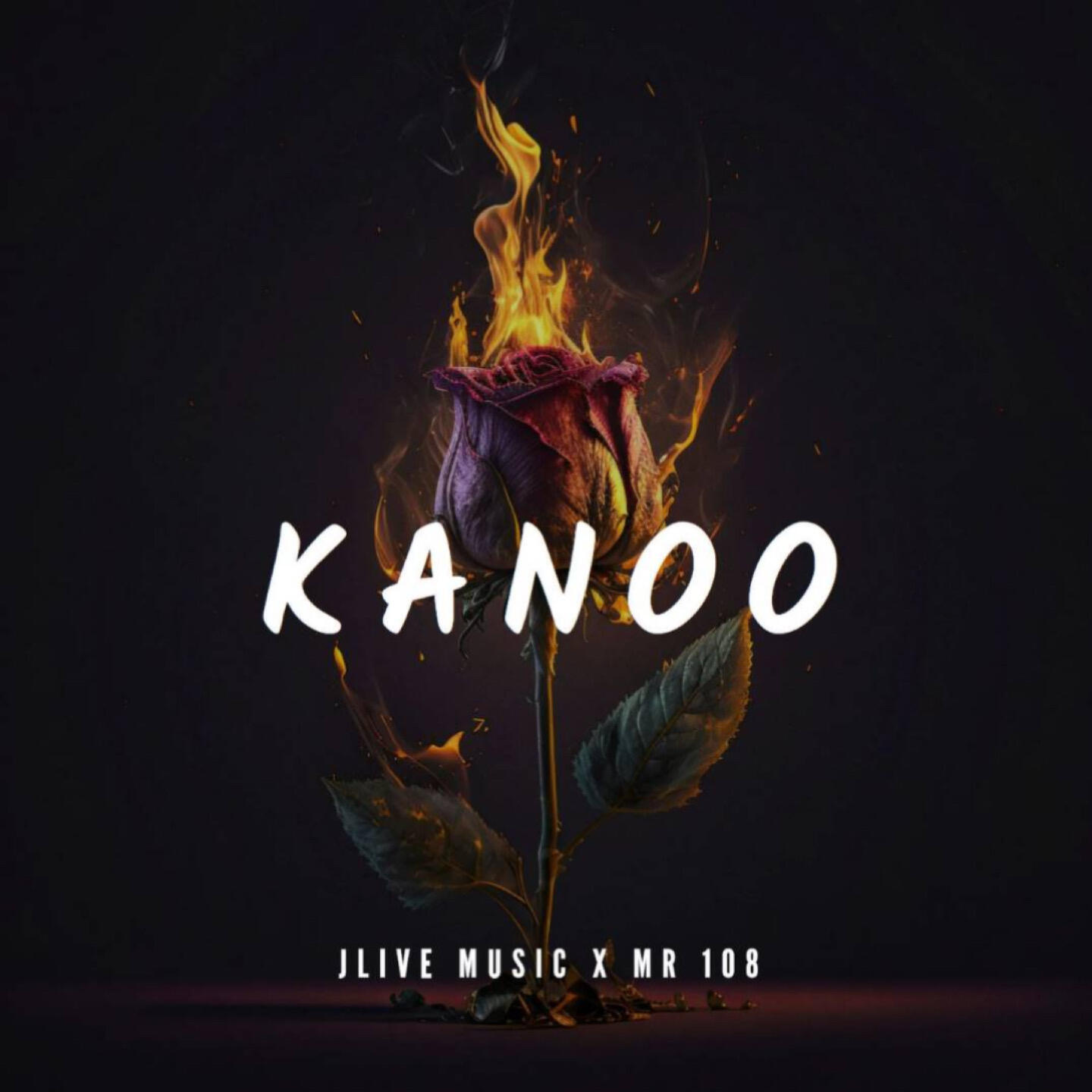 Релиз Kanoo