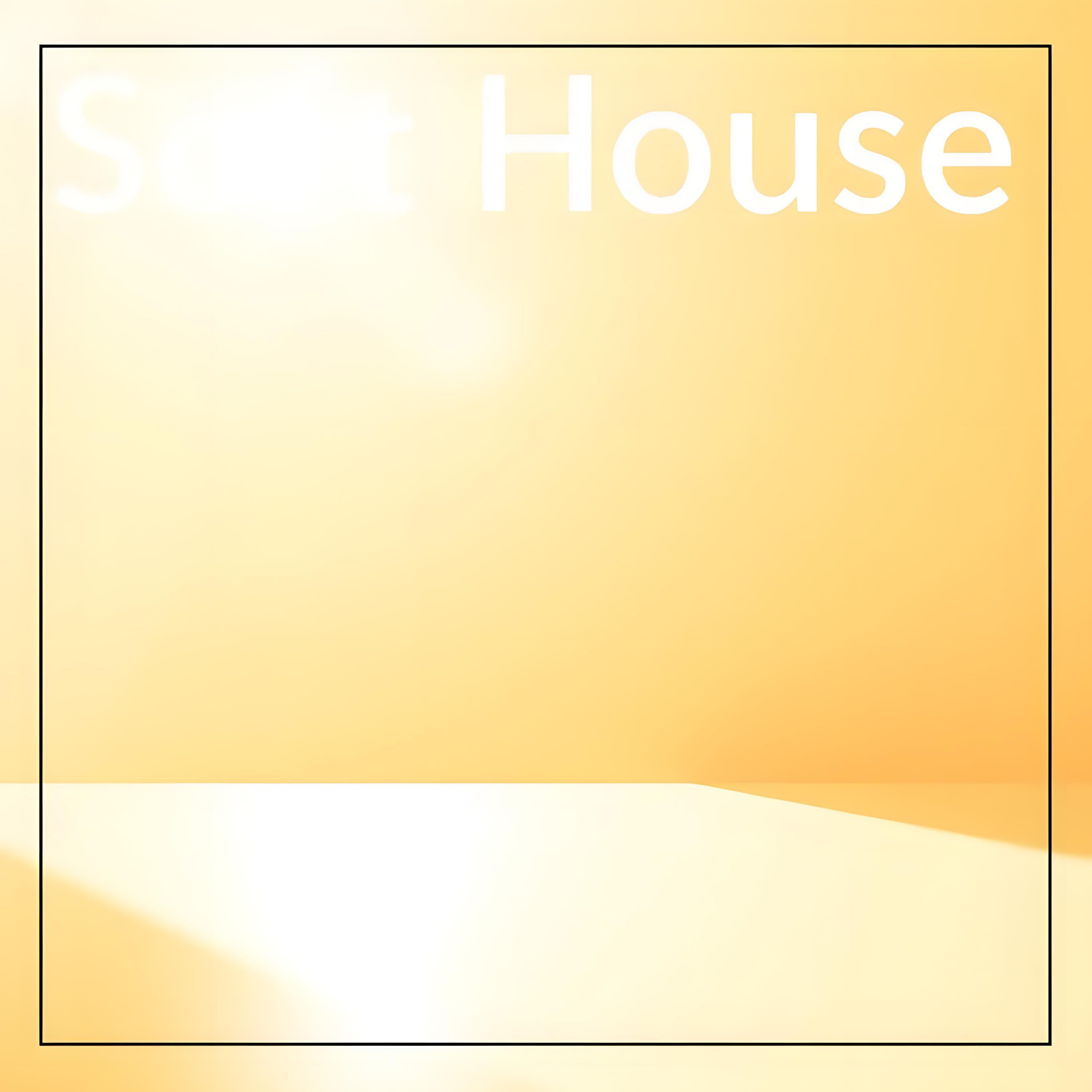 Релиз House