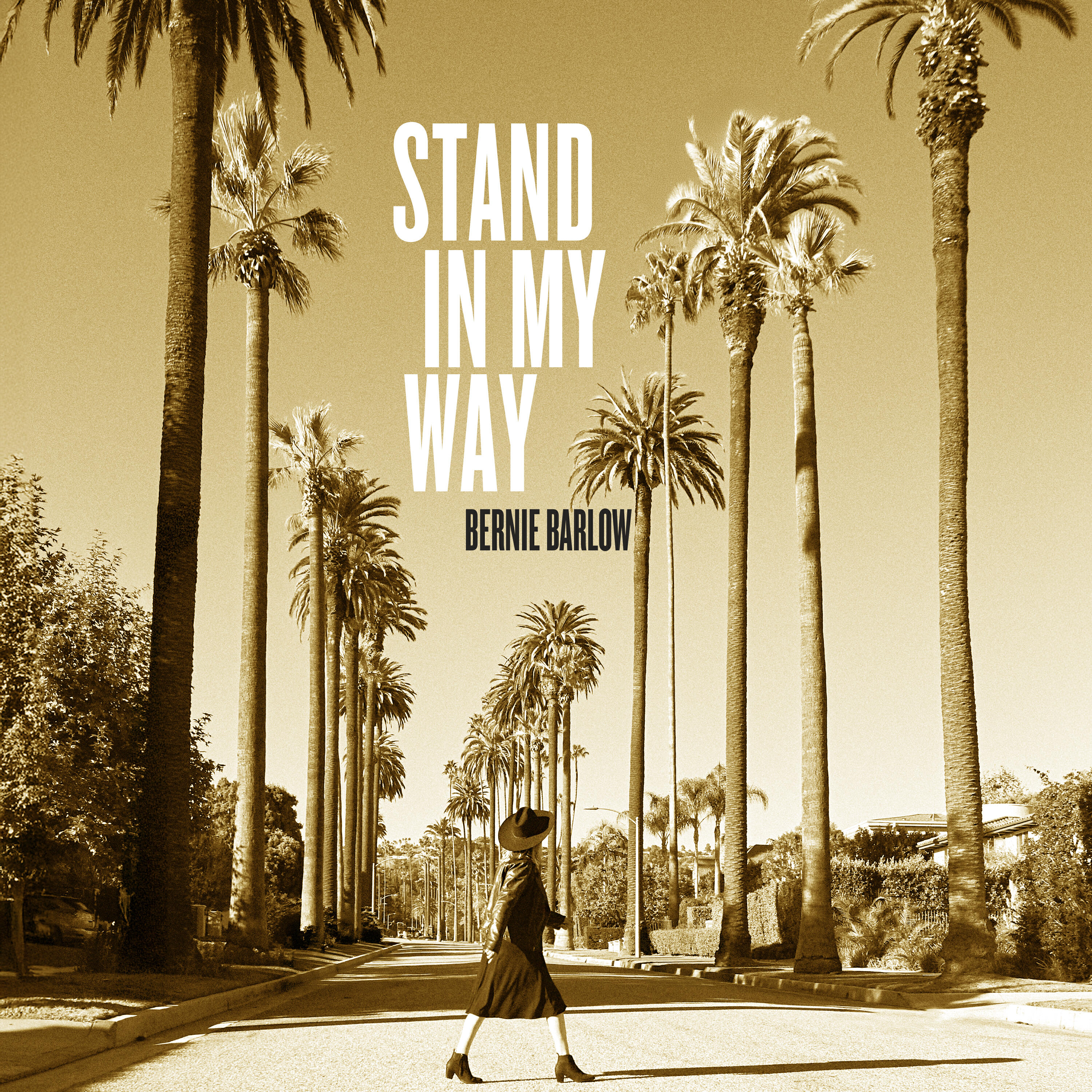 Релиз Stand In My Way