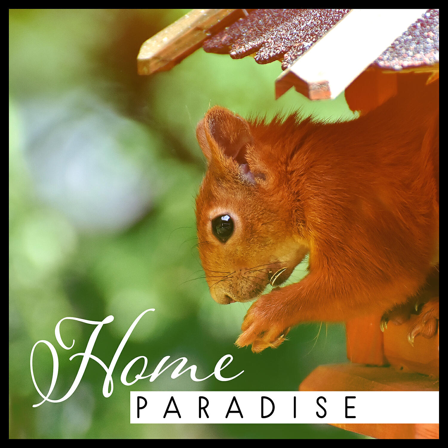 Релиз Home Paradise: Way to Rest, Beautiful Nature, Blissful Surrounding, Simple Path of Life, Emotional Symphony, Internal Silence